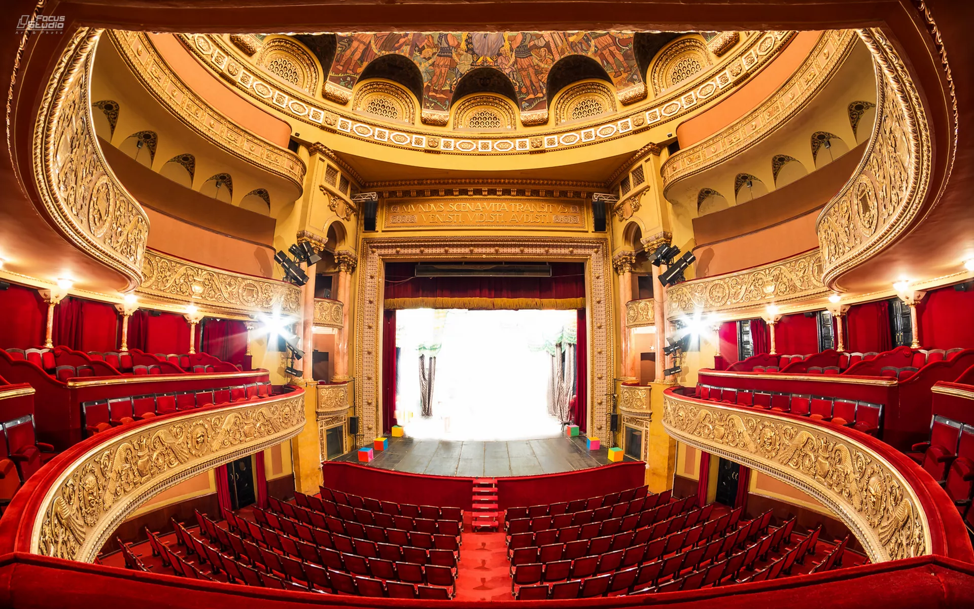 Кон анима – Фондација Бреде Калеф Симоновић