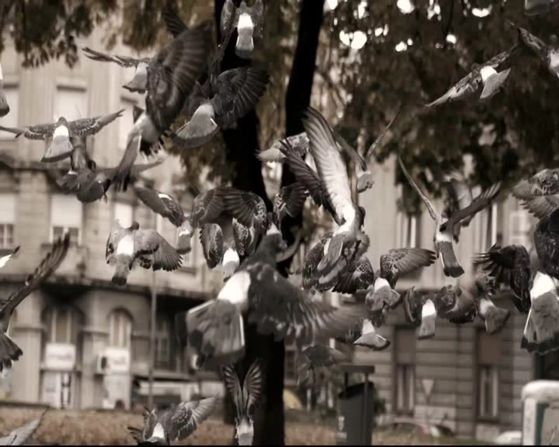 У ходу – Фотографија, тренутак трајања