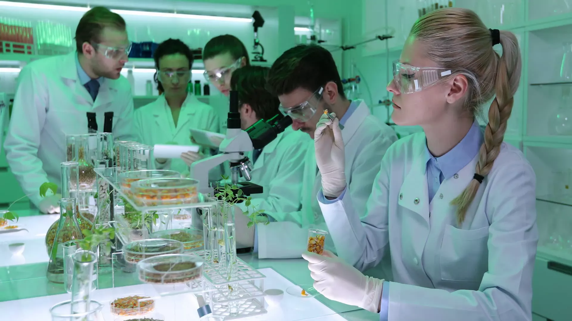 Гозба - Хуманизација научног рада