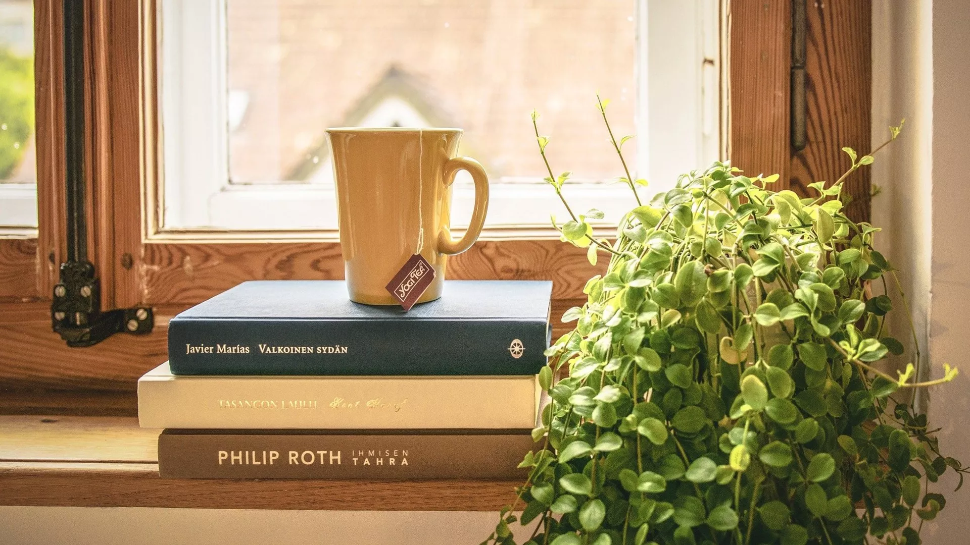 Правац 202 – Приче иза језичких израза