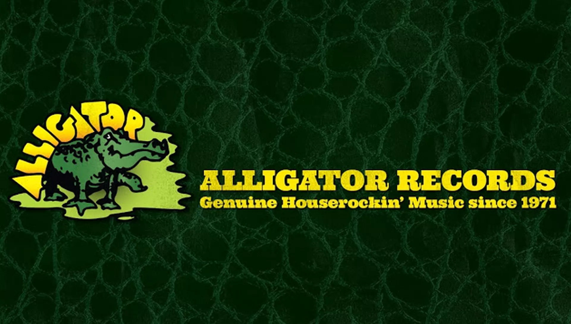 Џез сцена - Дискографска кућа "Алигатор рекордс"