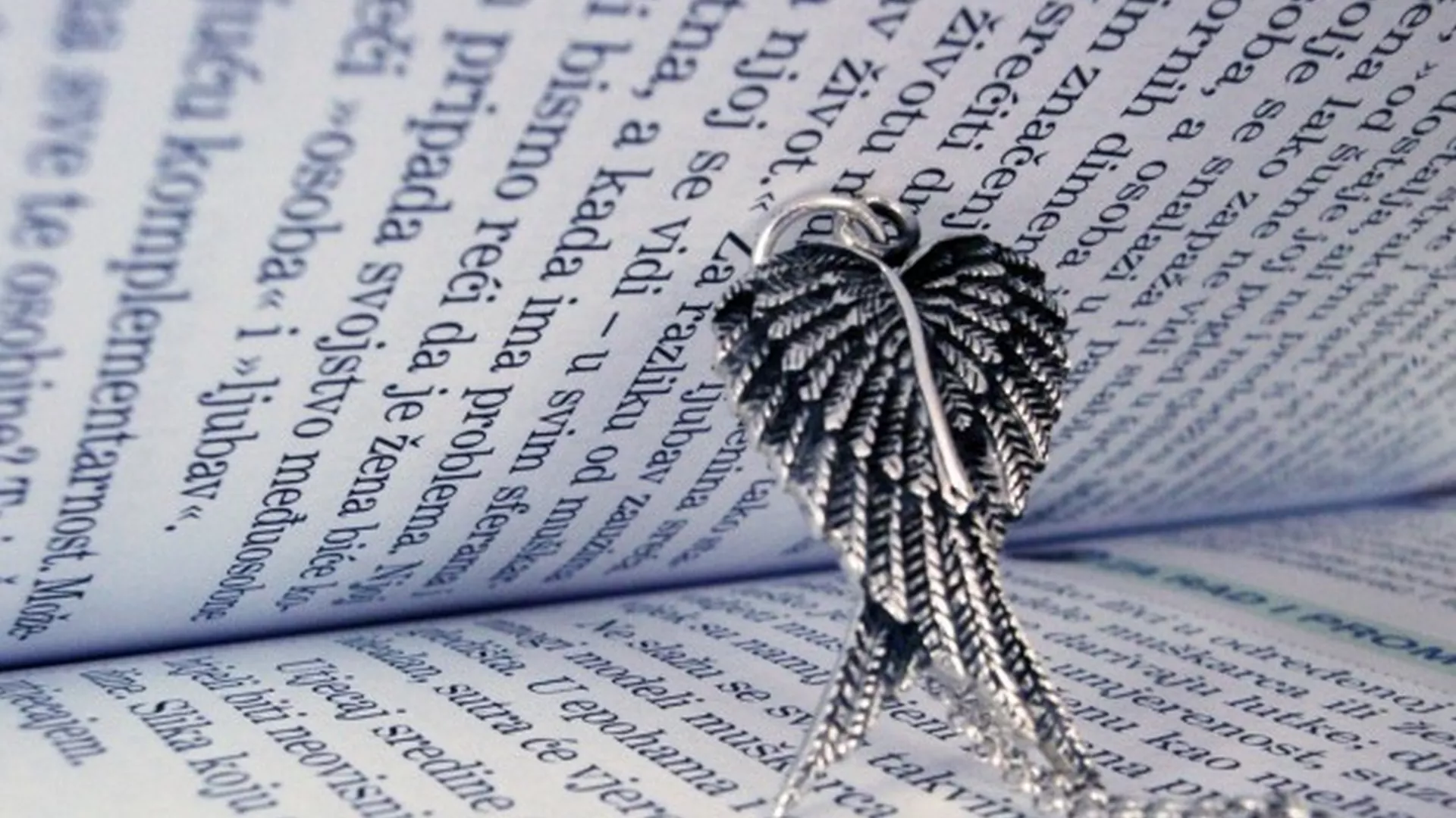 Пут у речи - Како је издахнуо вуковски српски…