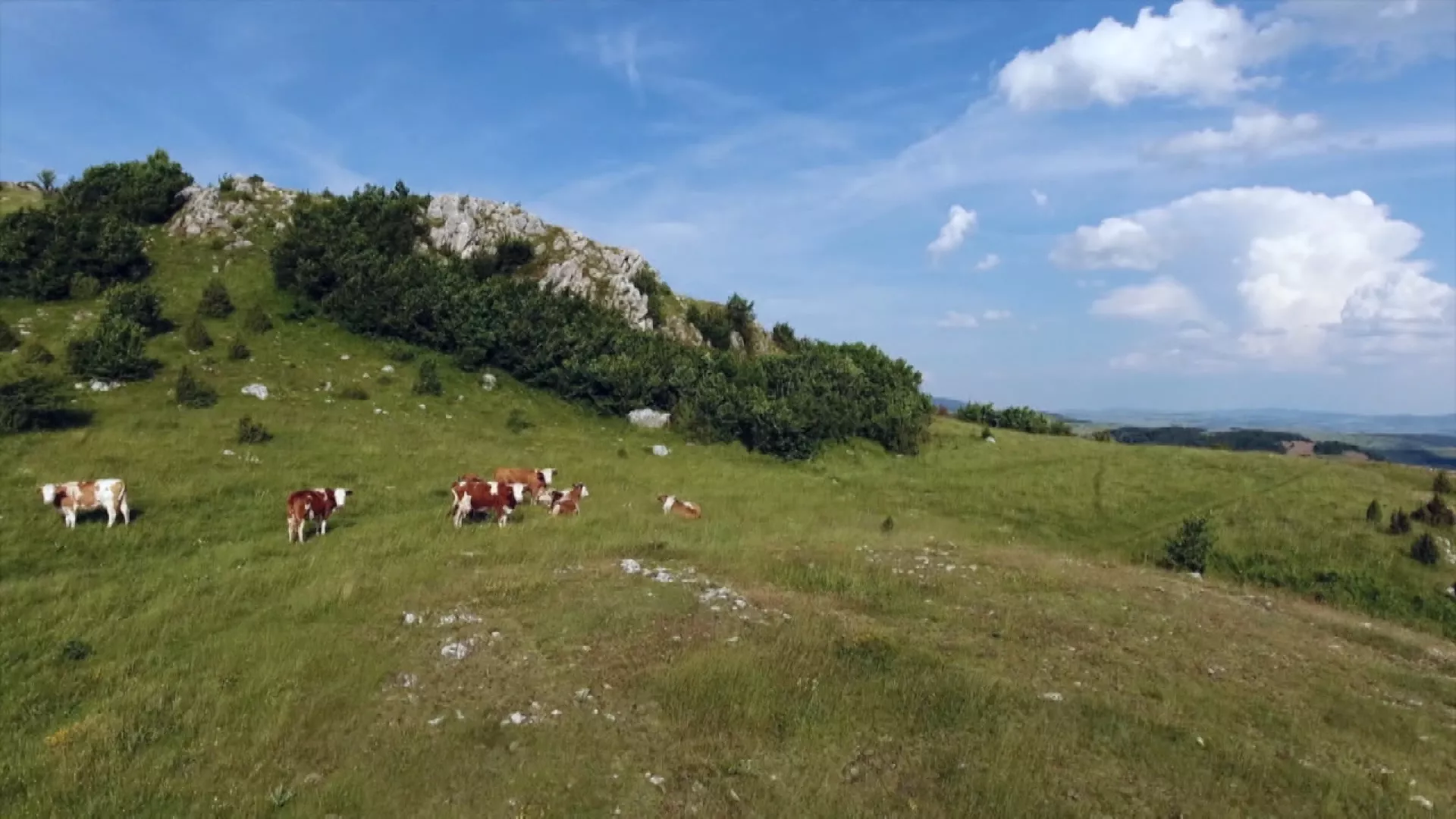 Зелена енергија Србије: Геотермална енергија, 5. емисија