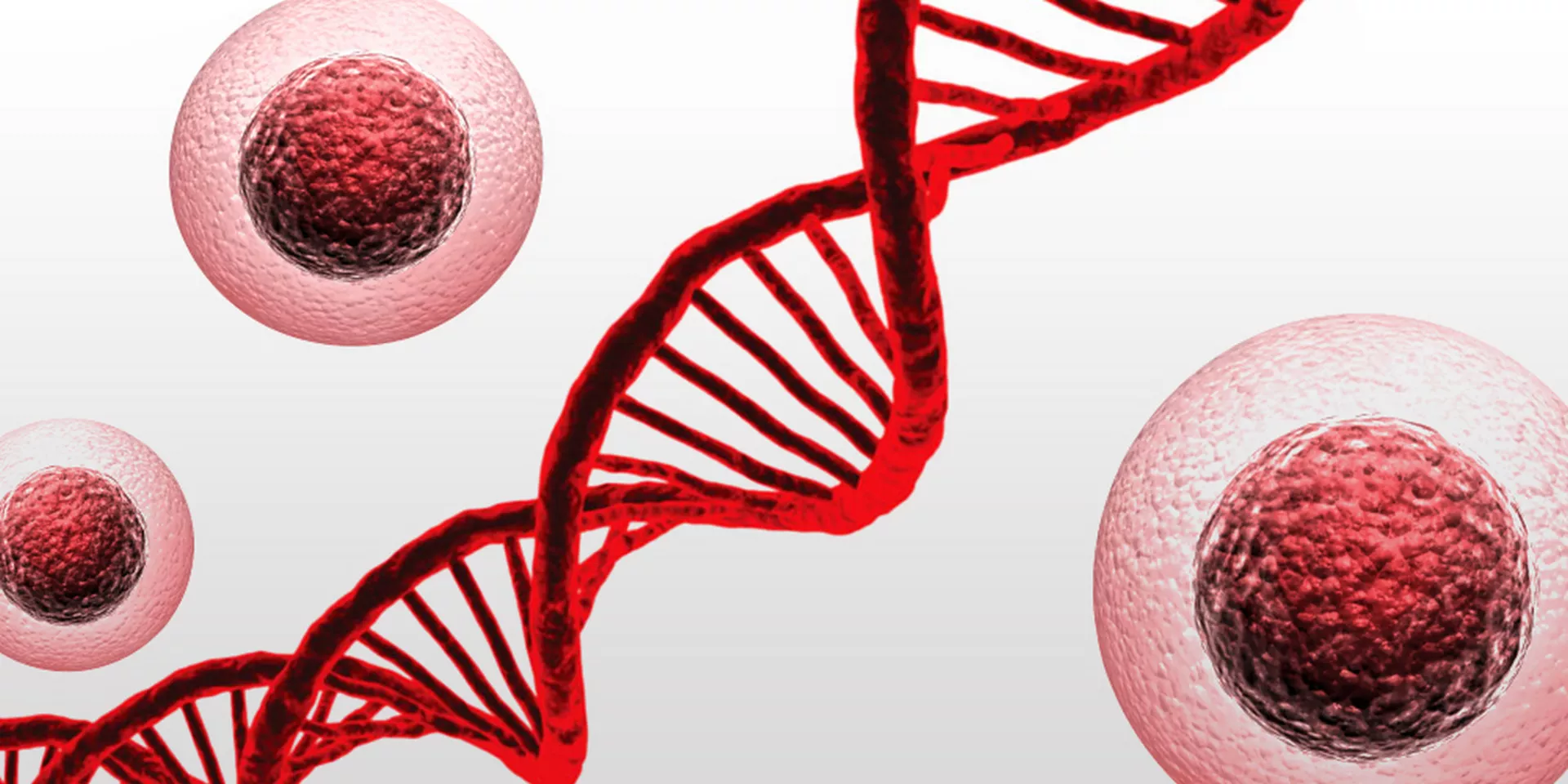 Соларис – Матичне ћелије и рак