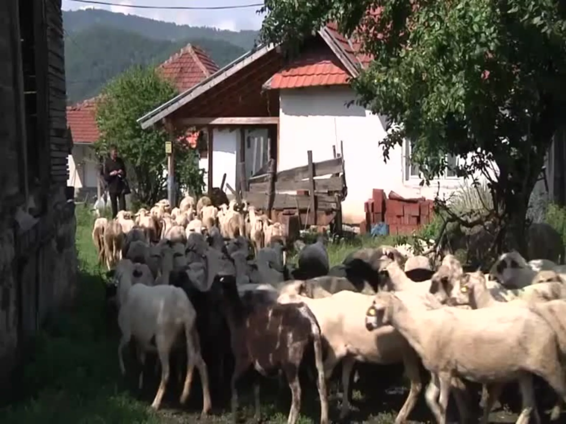 Село Жуње