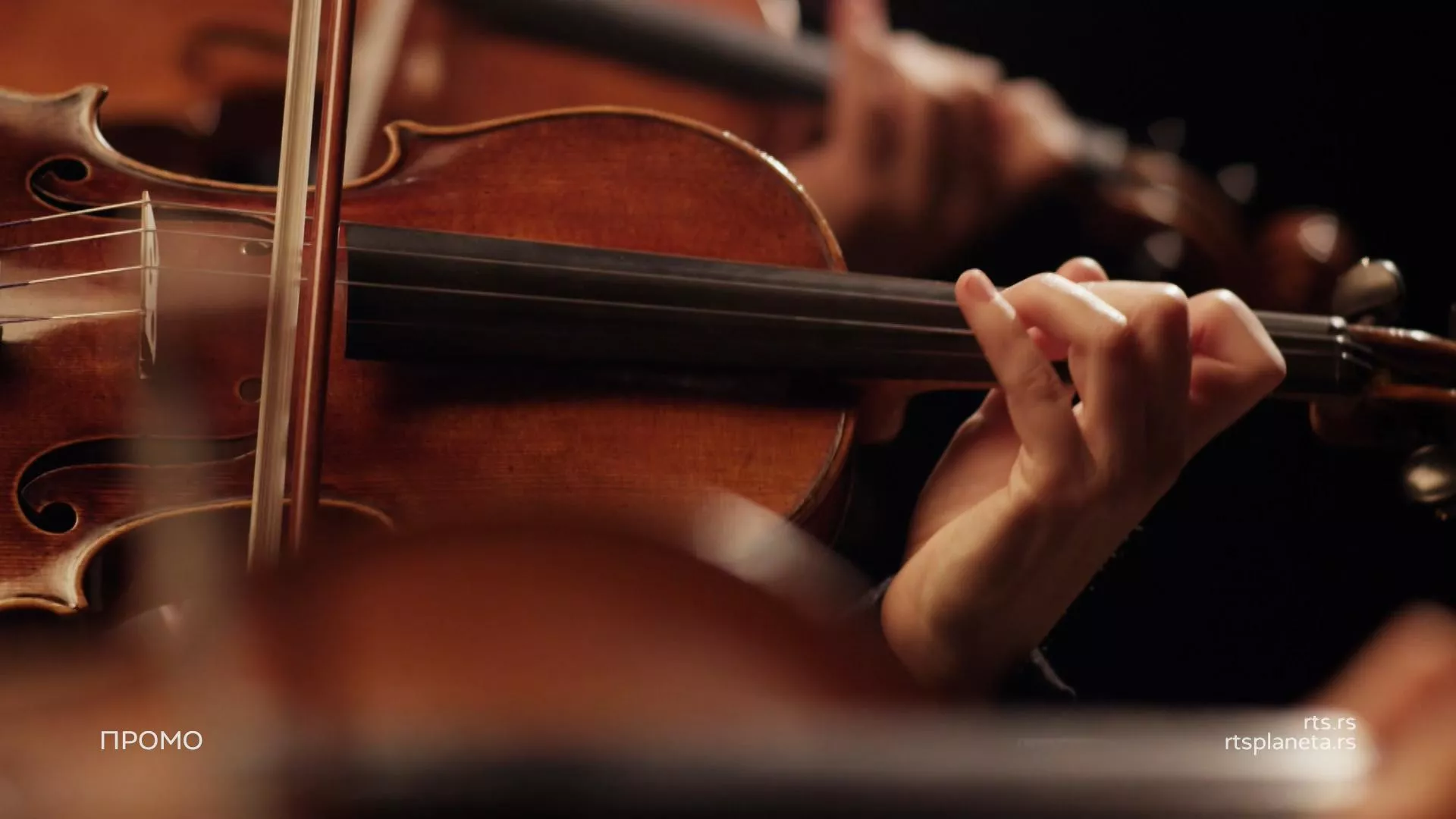 Новогодишњи концерт Бечке филхармоније