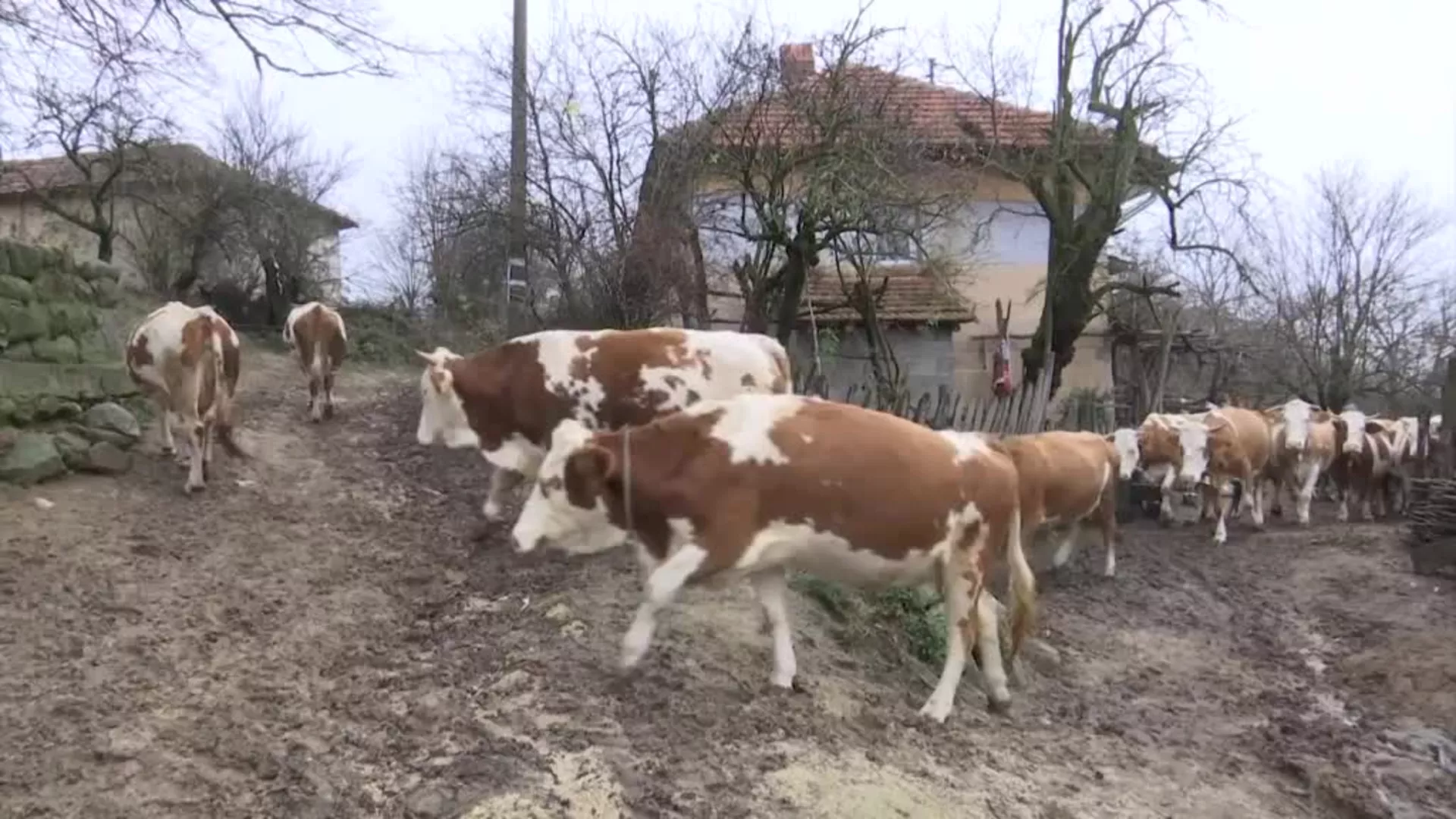Планинска села