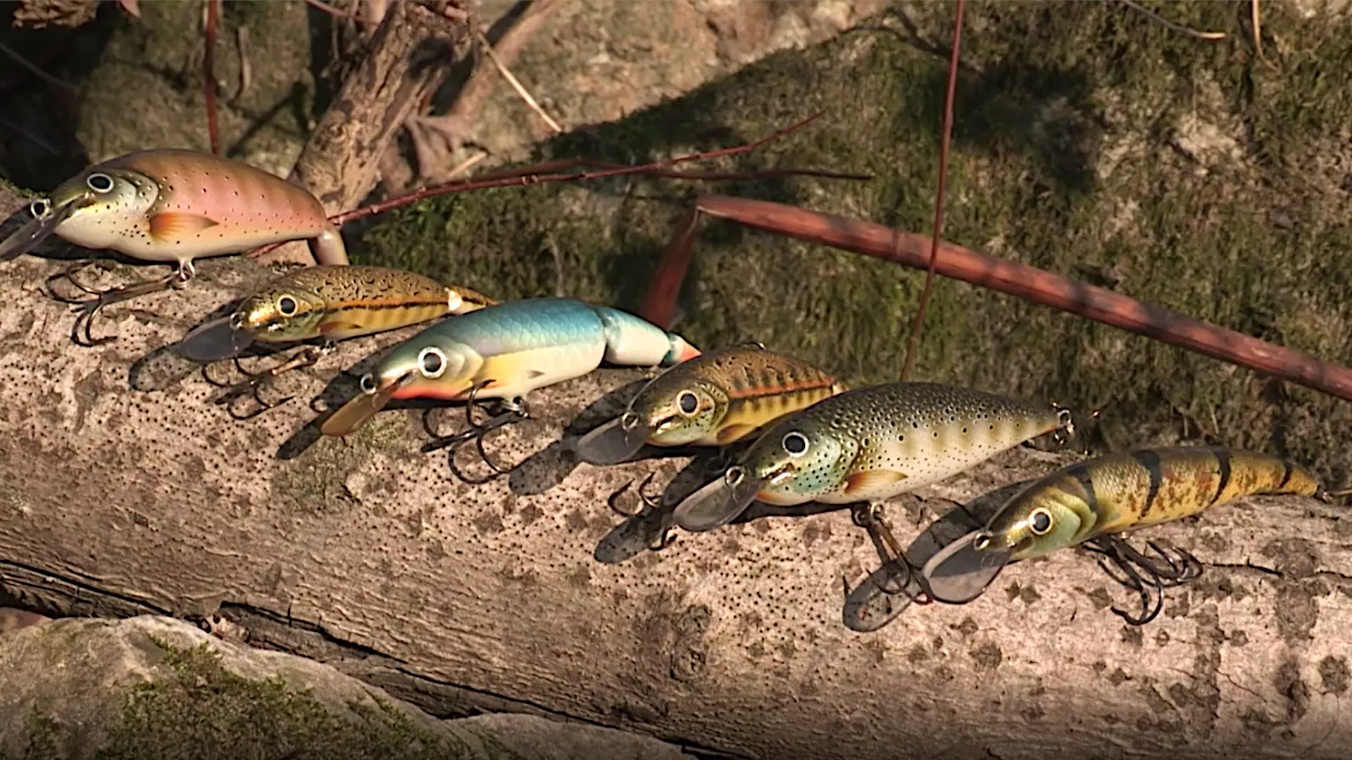 Лов и риболов: Младица у Словенији, 2. део