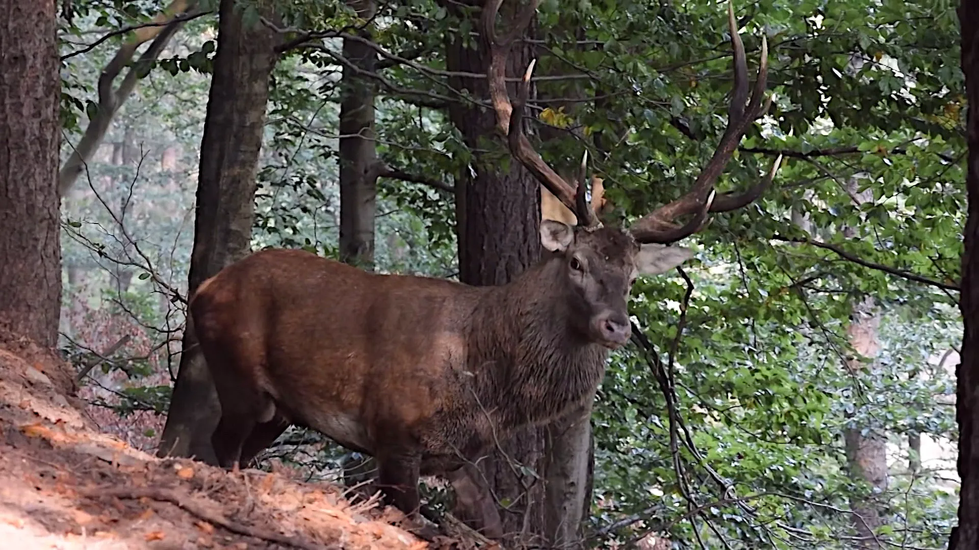 Лов и риболов: У подрињском крају