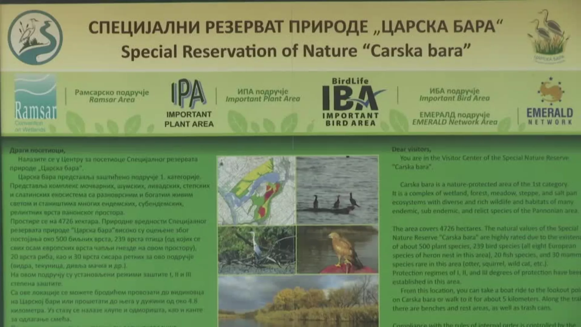 Свакодневна заштита
