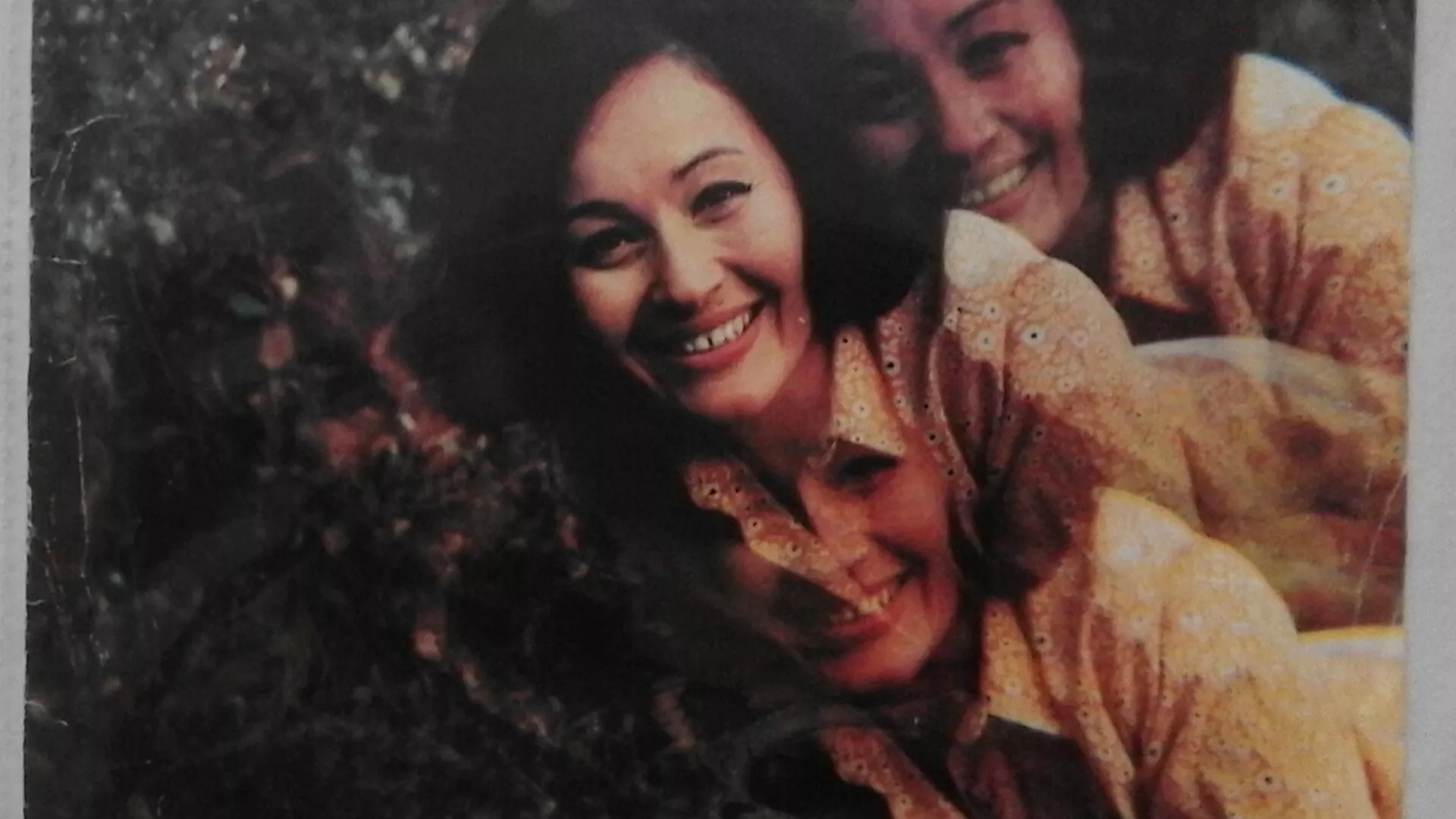 Од злата јабука - Нада Воденичар