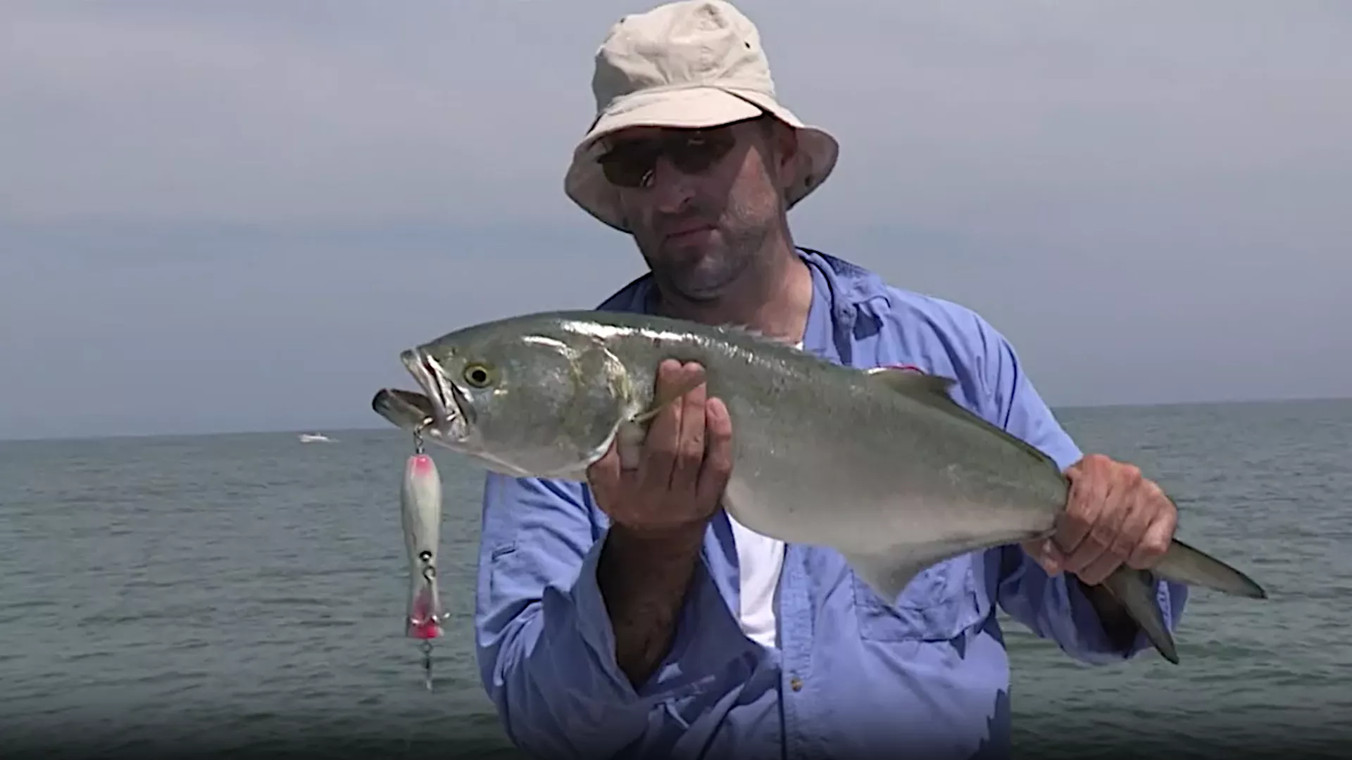 Лов и риболов: На ушћу Ебра, 2. део