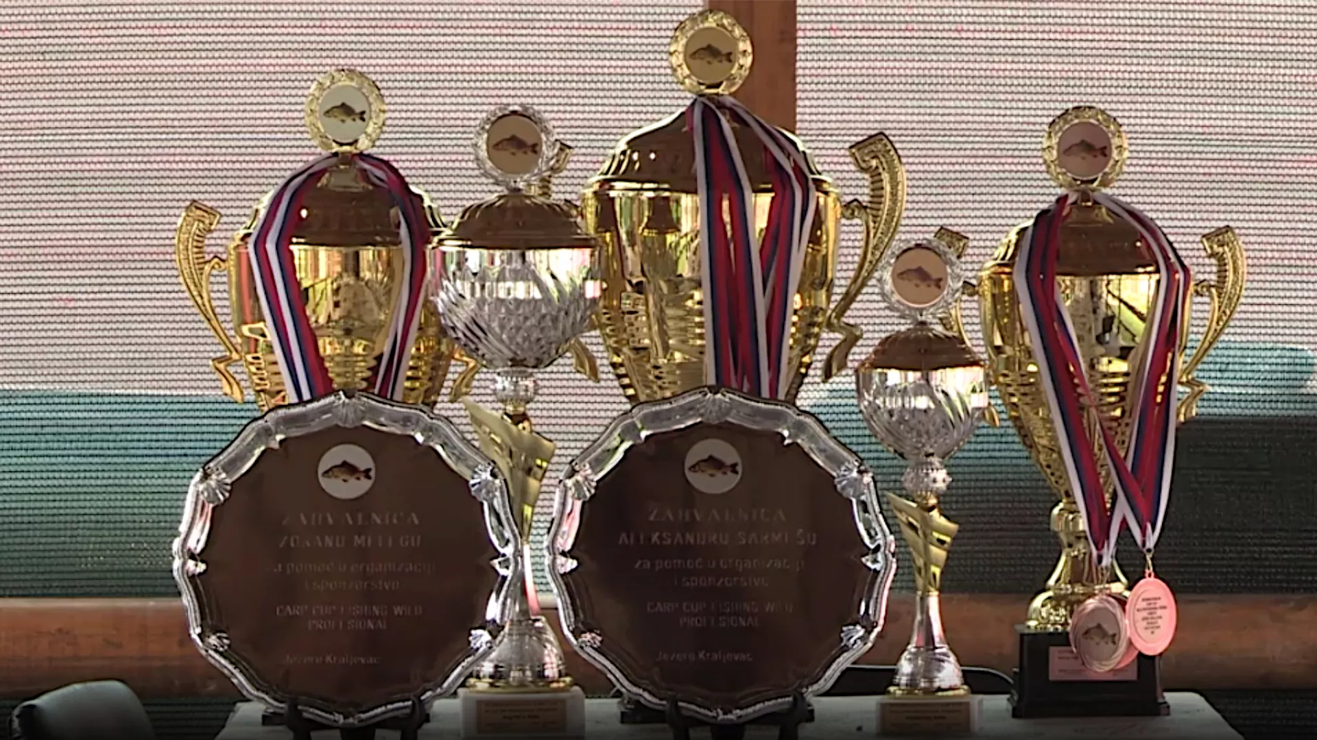 Лов и риболов: Шарани из језера Краљевац