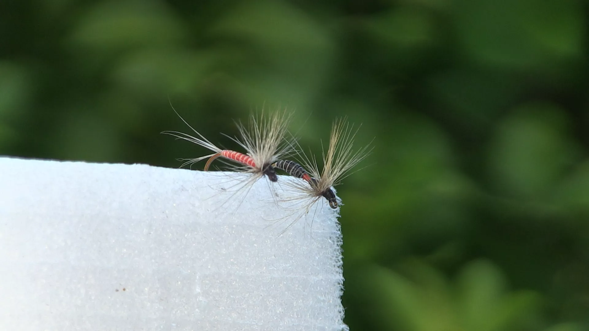 Лов и риболов: Риболов у Црној гори, 1. део