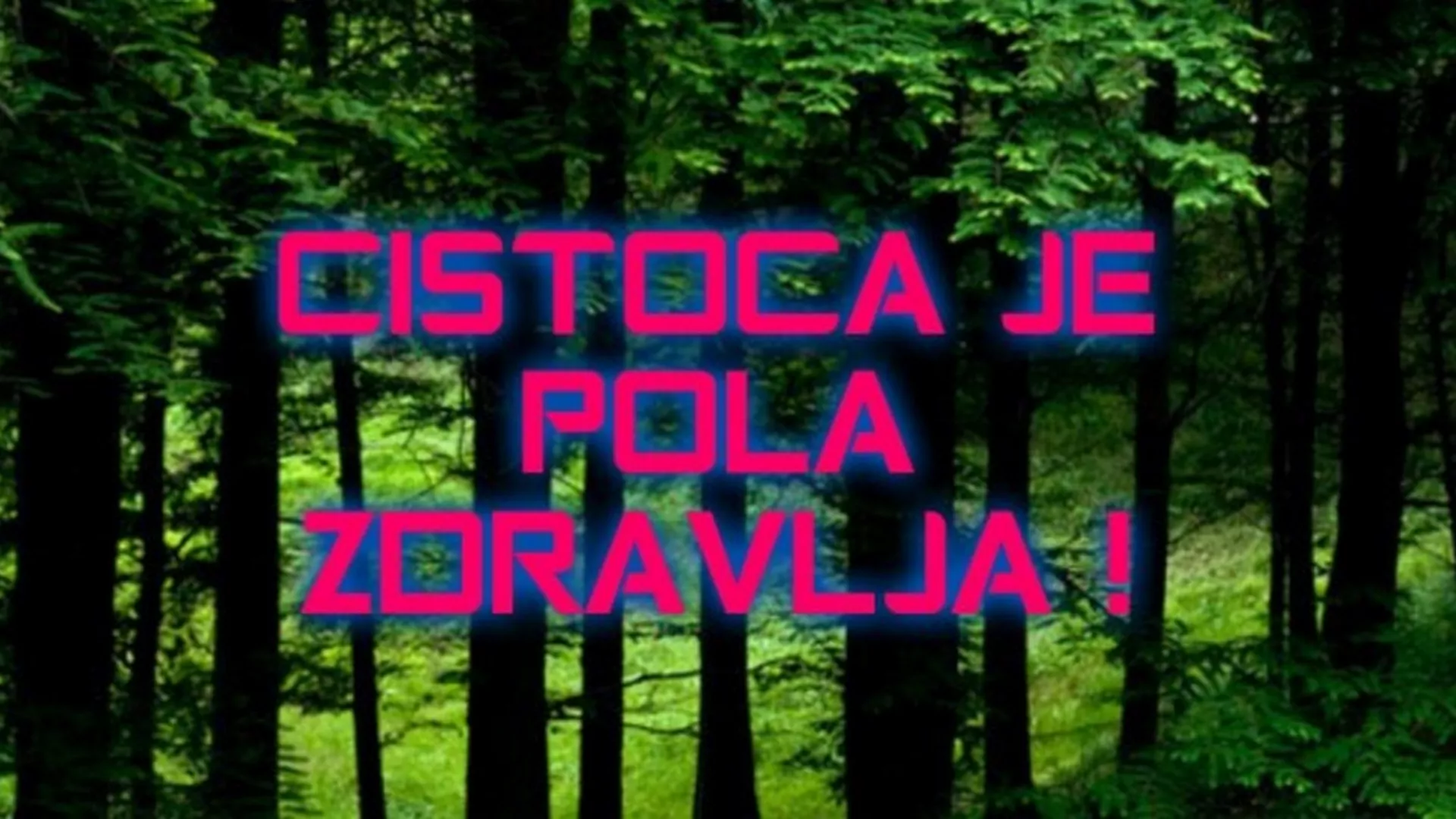 Пут у речи – Питање чистоће…