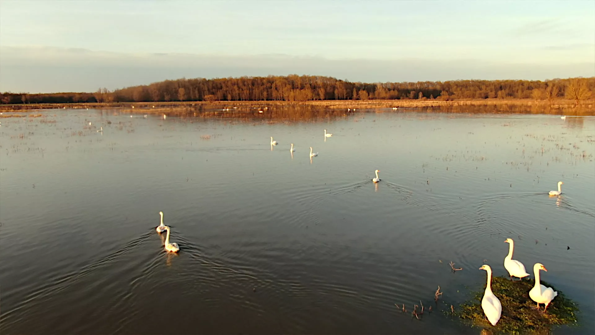 Лов и риболов: Сава и Лоњско поље, 1. део