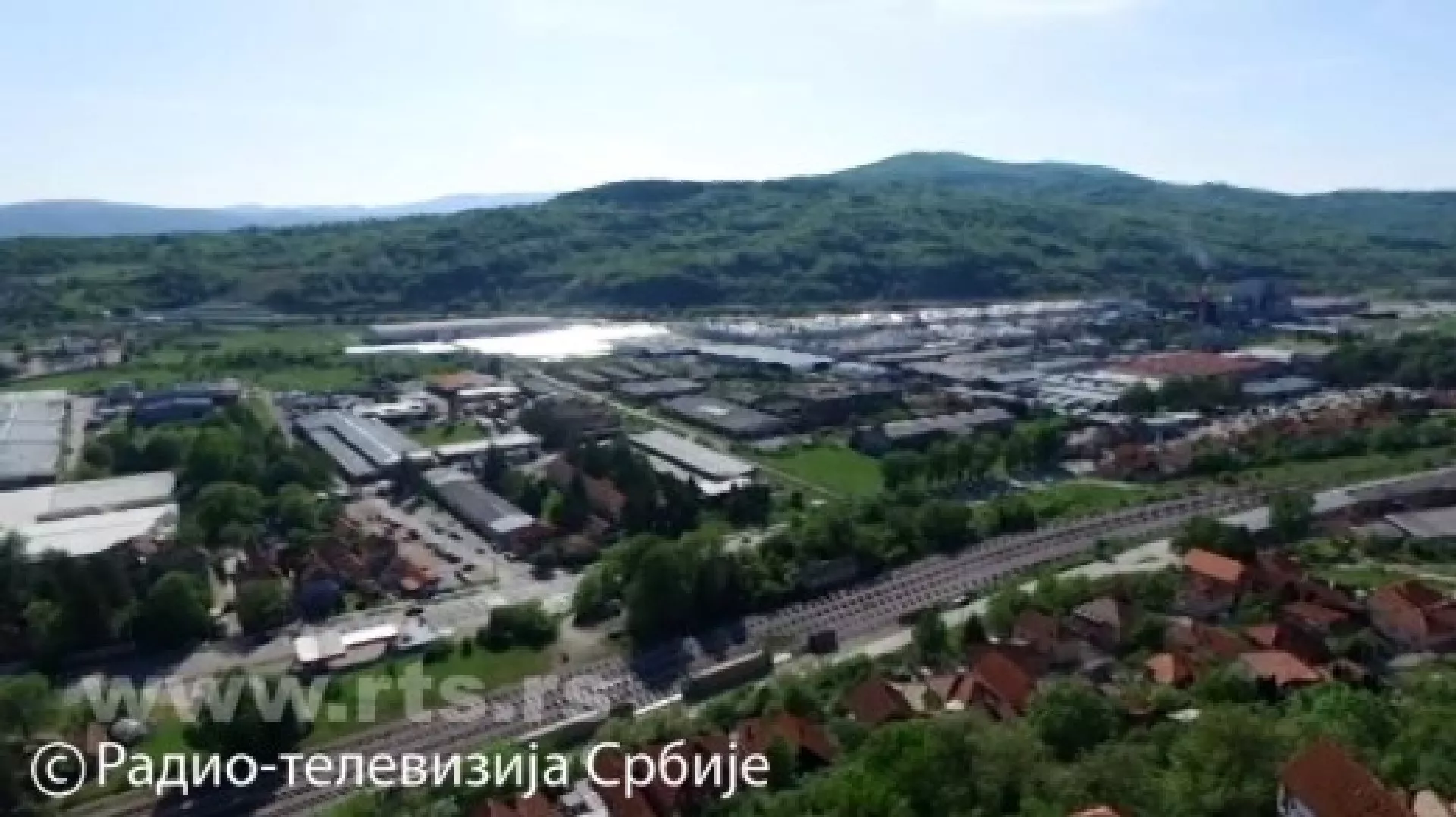 Којекуда - Пирот: зрно Драгољуба Златковића