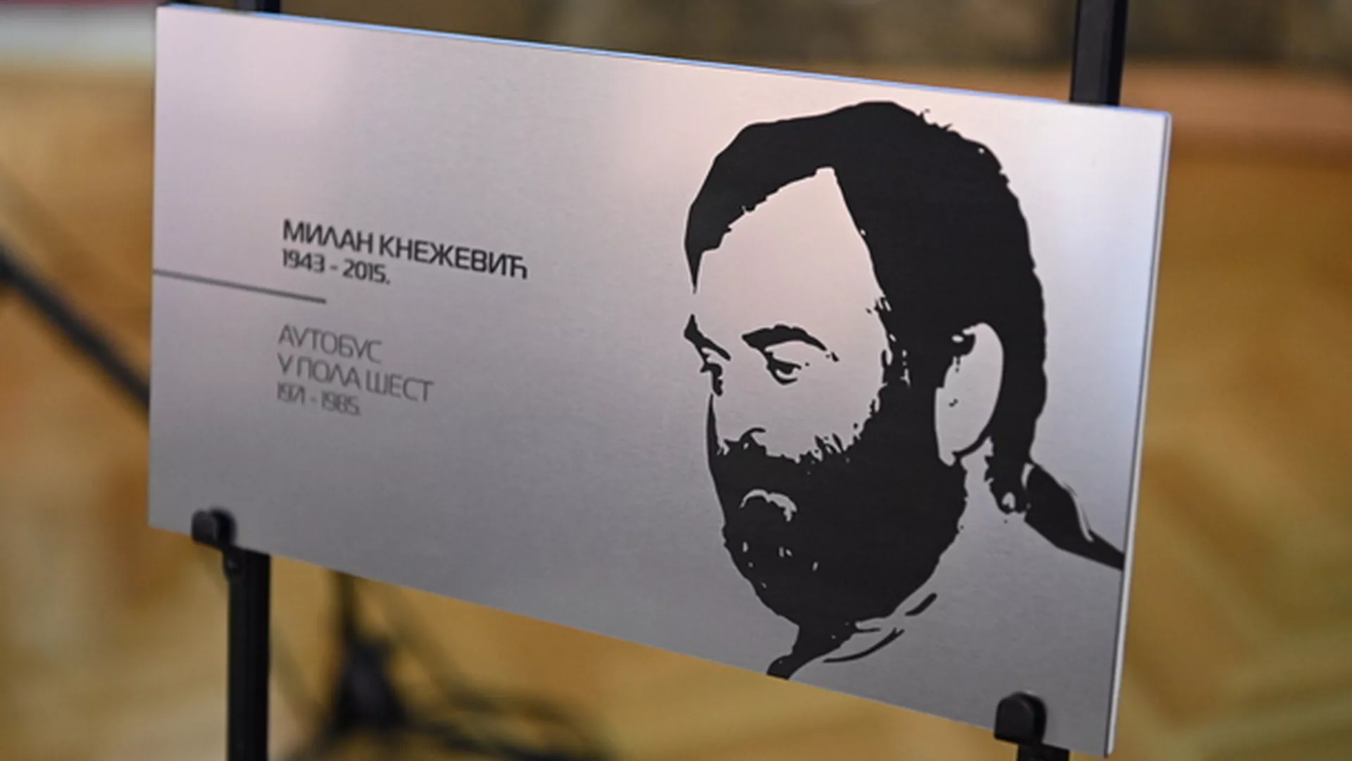 Памтивек - Милан Кнежевић