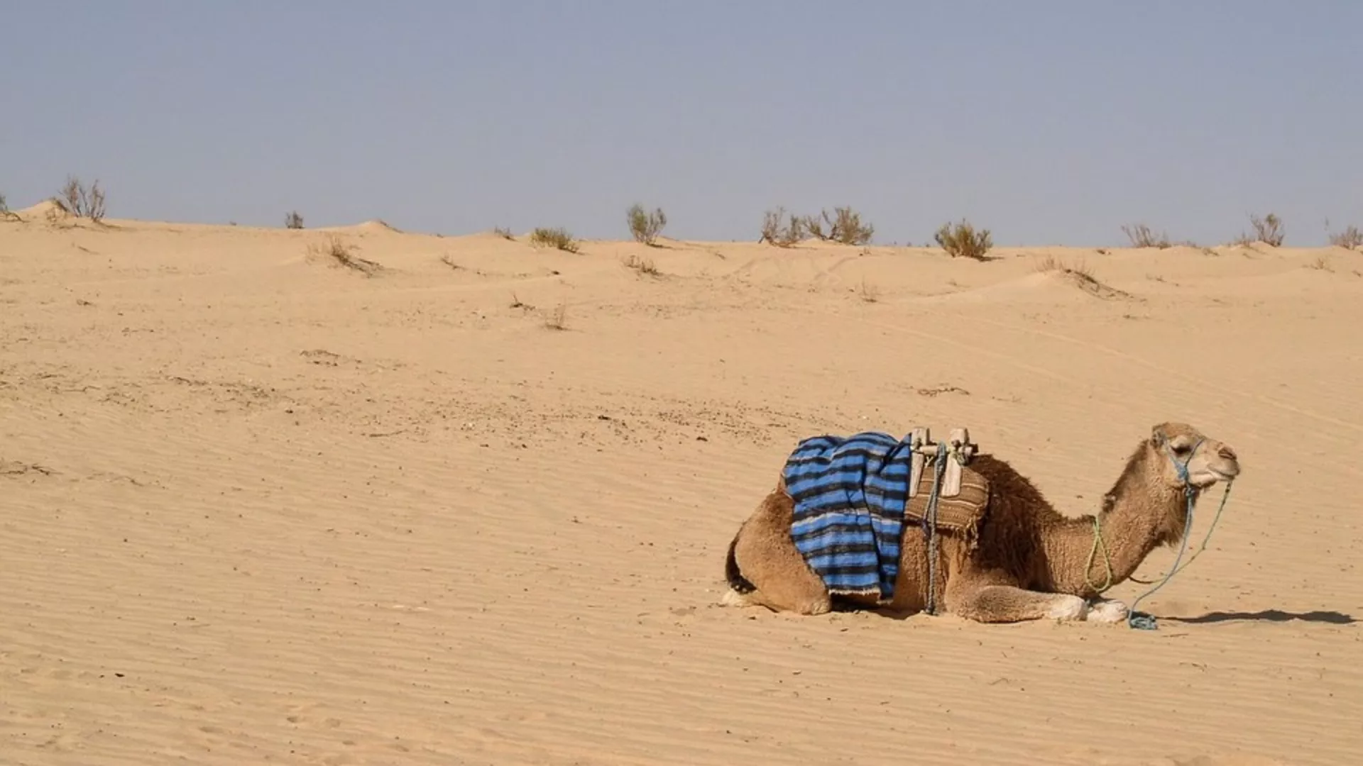 Пут свиле – Ксар Гилан