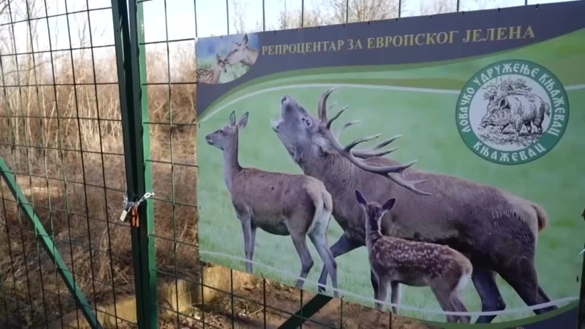 Прихватилиште за јелене