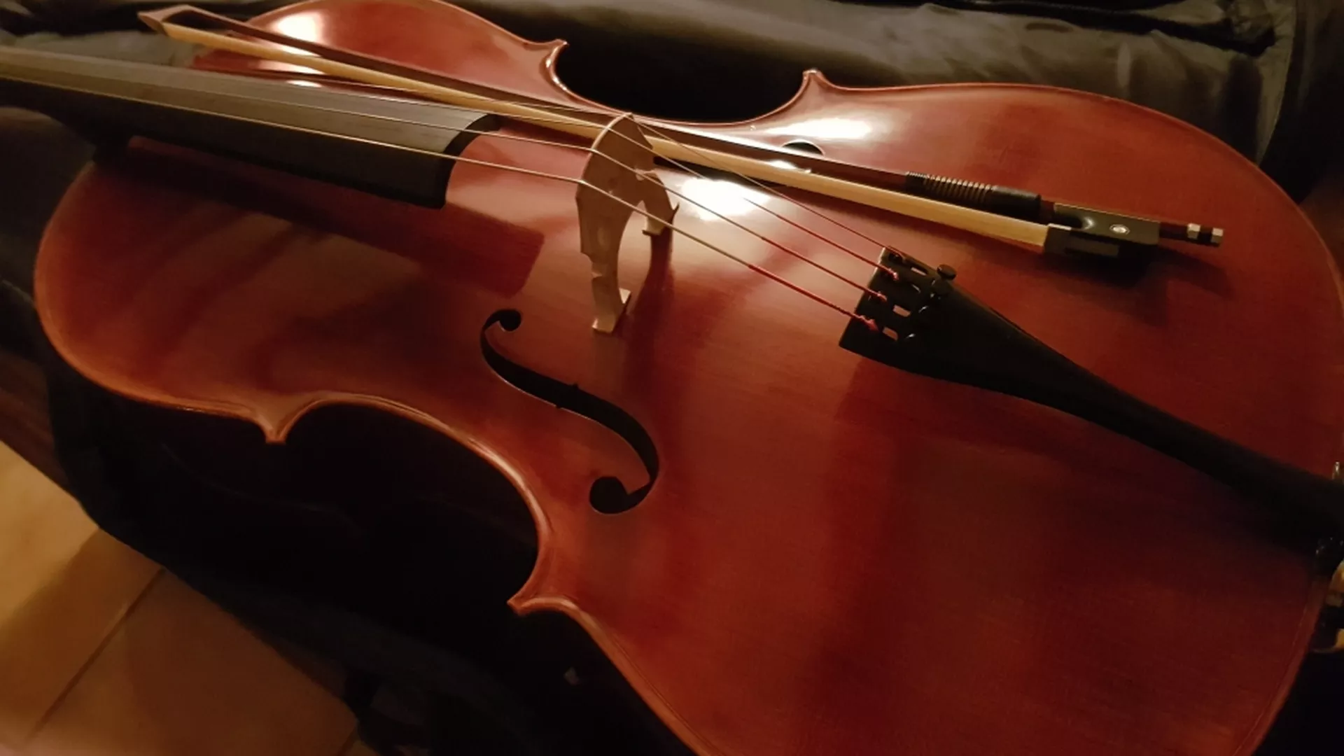 Време музике – ФРИДРИХ КЛАЈНХАПЛ, виолончело