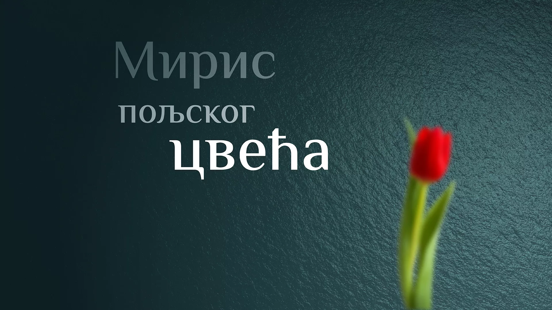 Мирис пољског цвећа (1977)