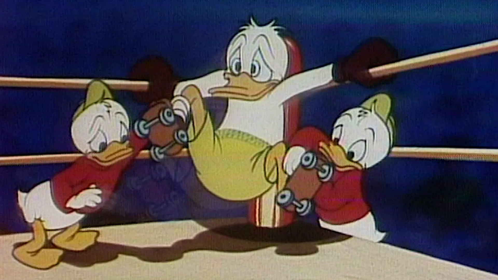 Крајем недеље: Педесет година Паје Патка