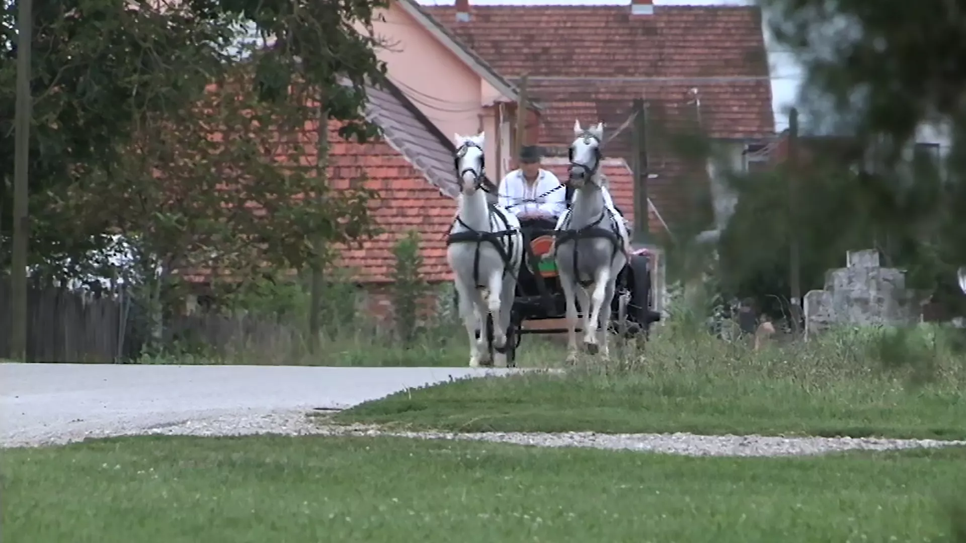 Моја лепа Србија – Богатић, 1. део