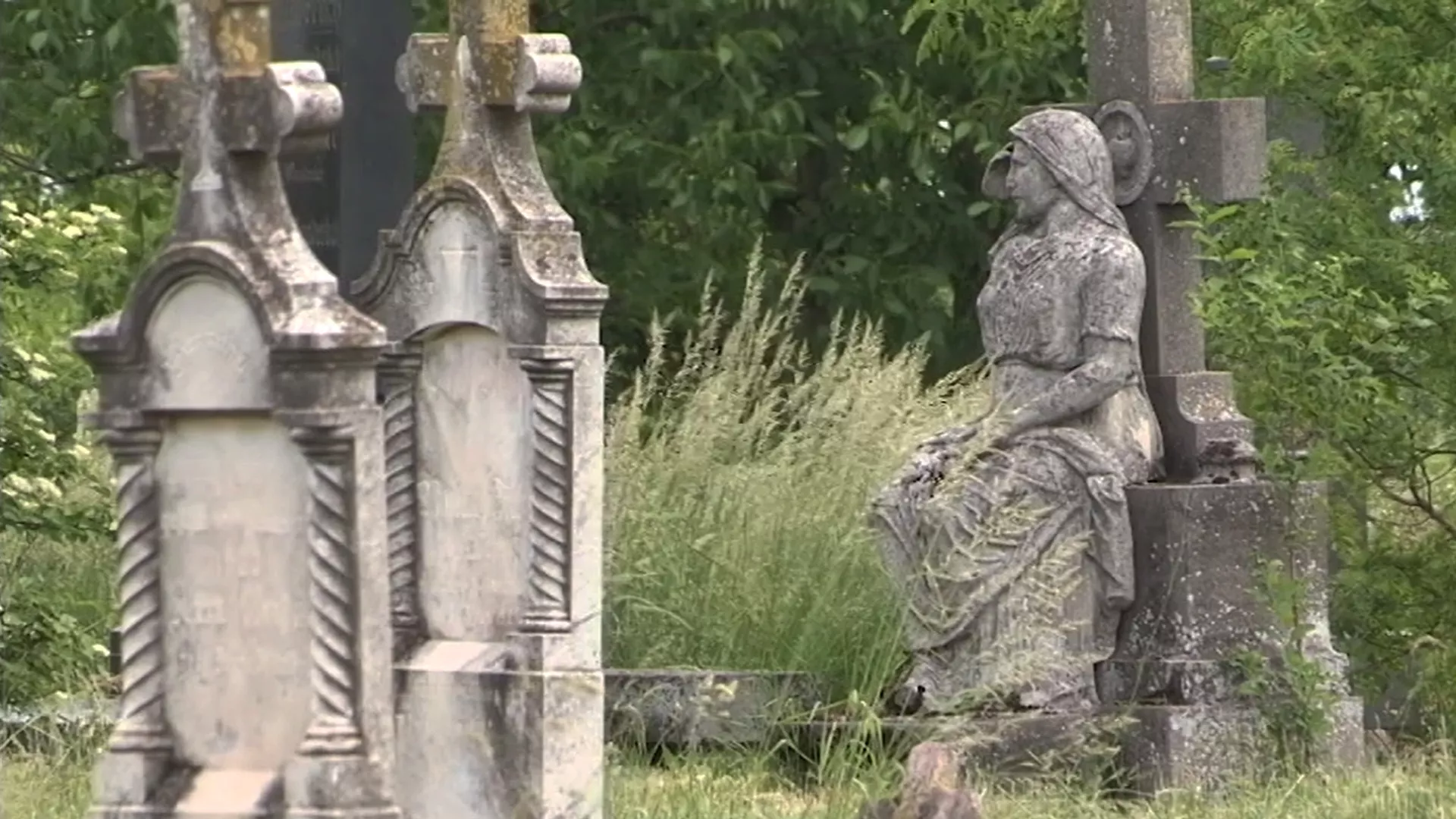 Моја лепа Србија – Челарево, 2. део