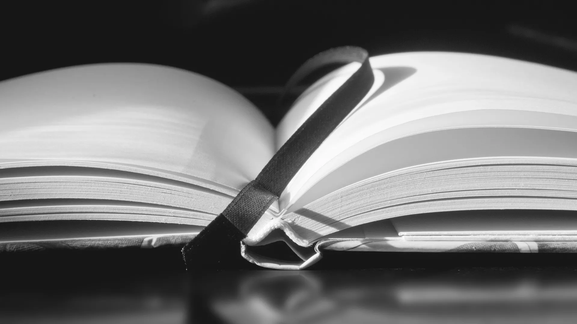 Дигиталне иконе – Књига „Језик нових медија", Лев Манович