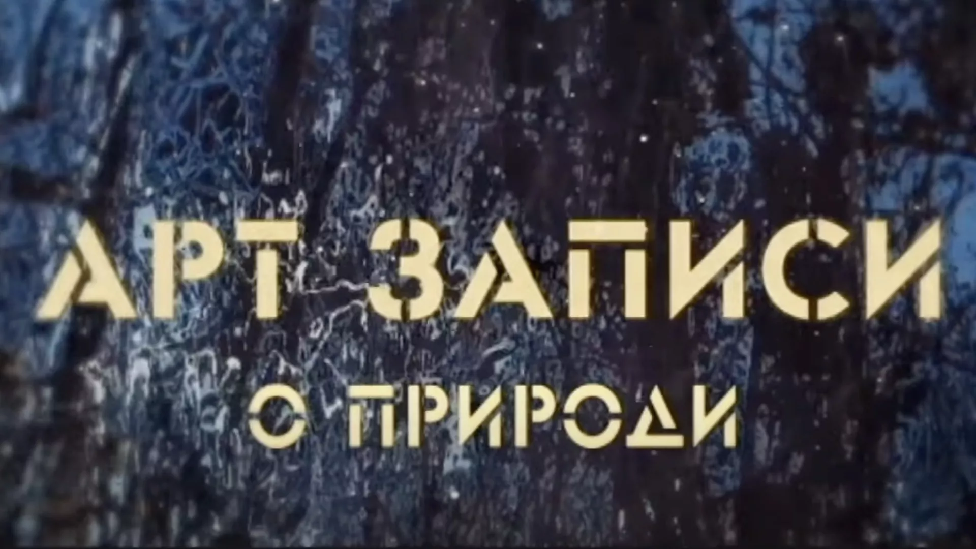 Арт записи о природи