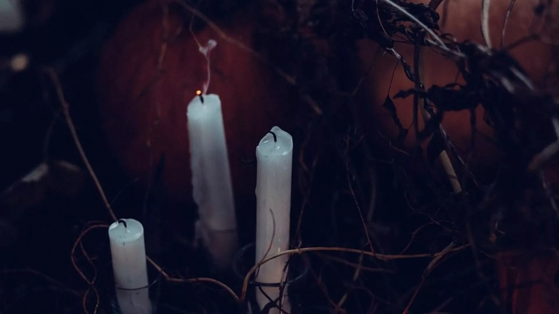 Говори да бих те видео – Влашка магија