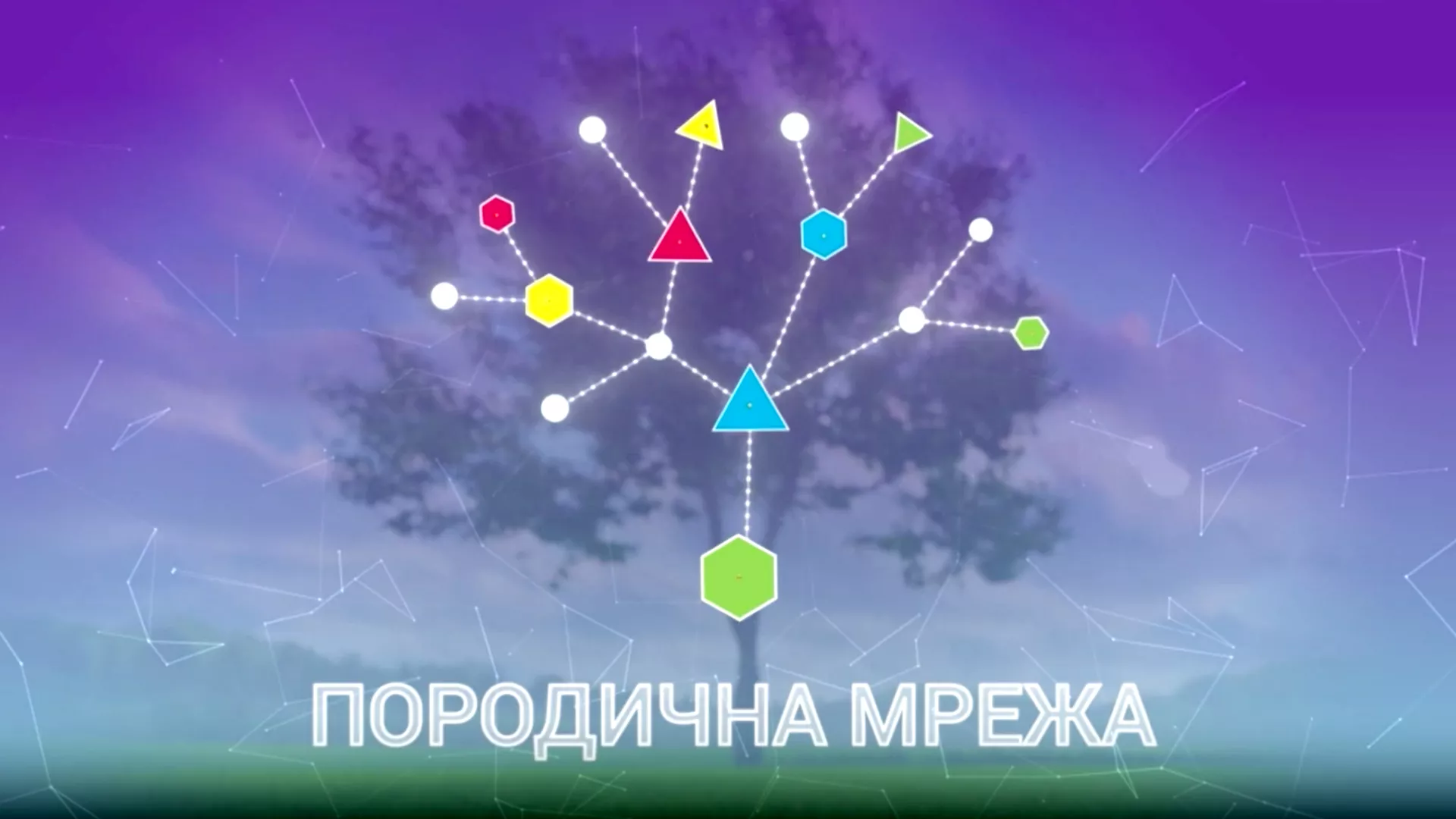 Породична мрежа