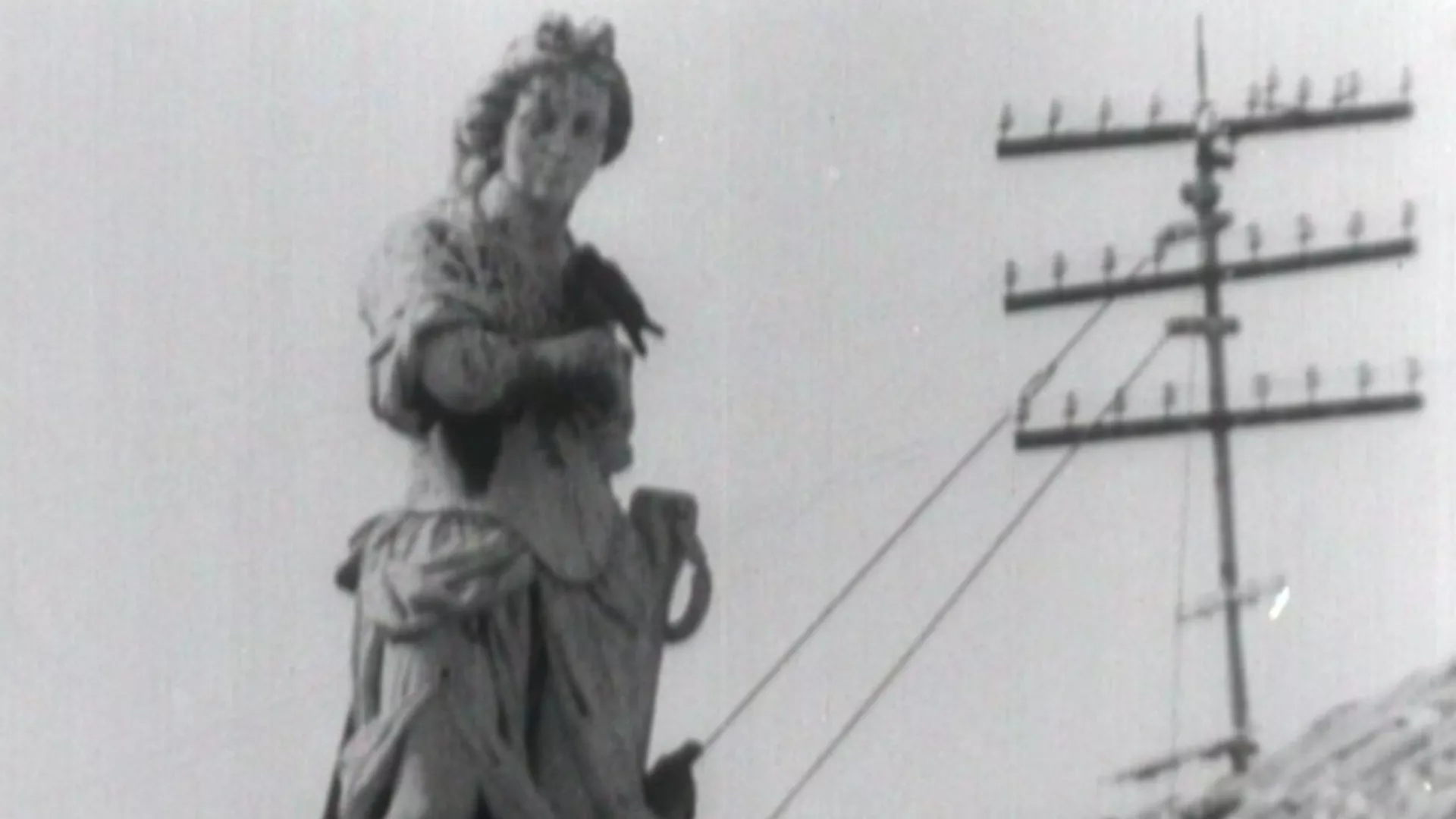 Сунчaни сат: Јадрански тргови