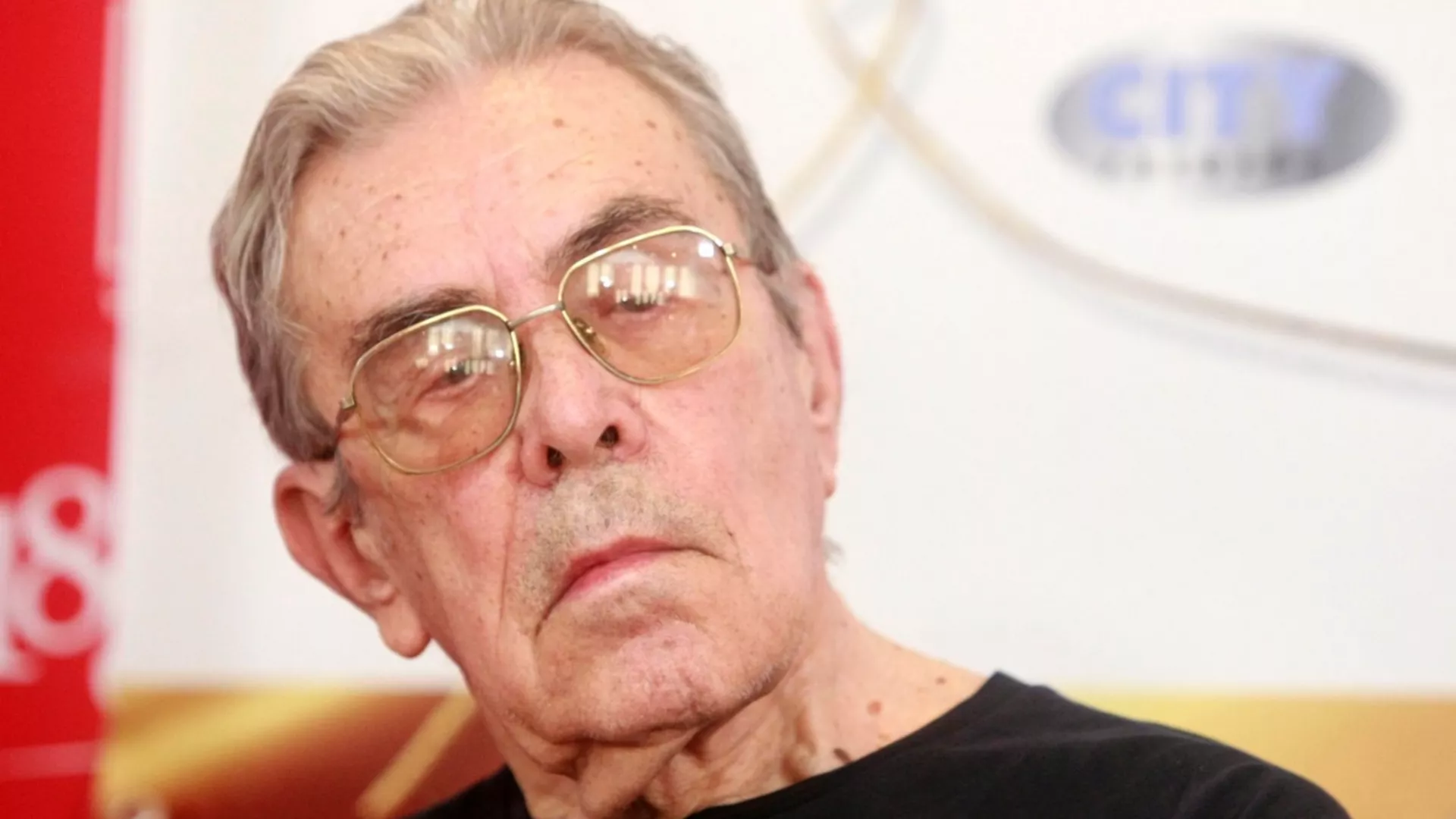 Аутограм - O поетици академика Дејана Деспића