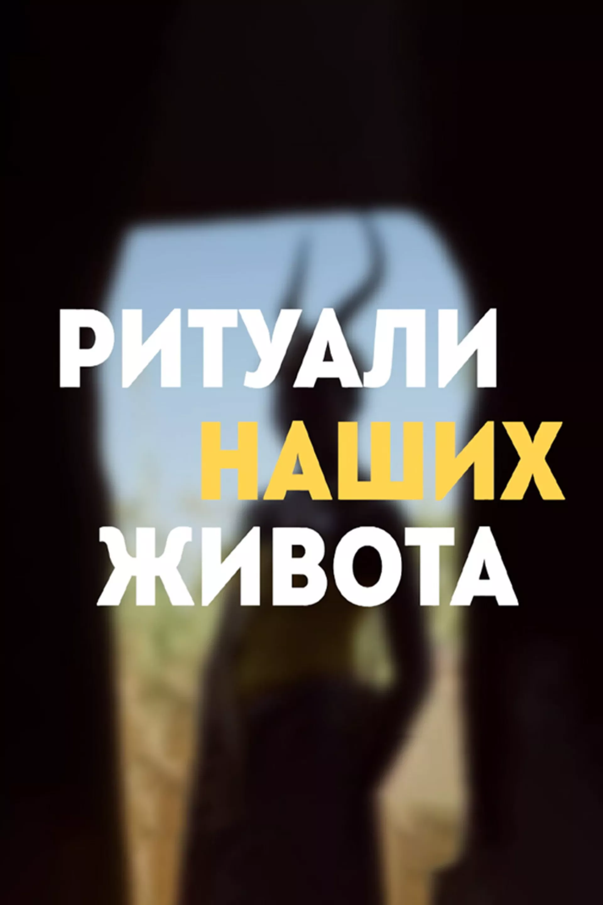 Ритуали наших живота