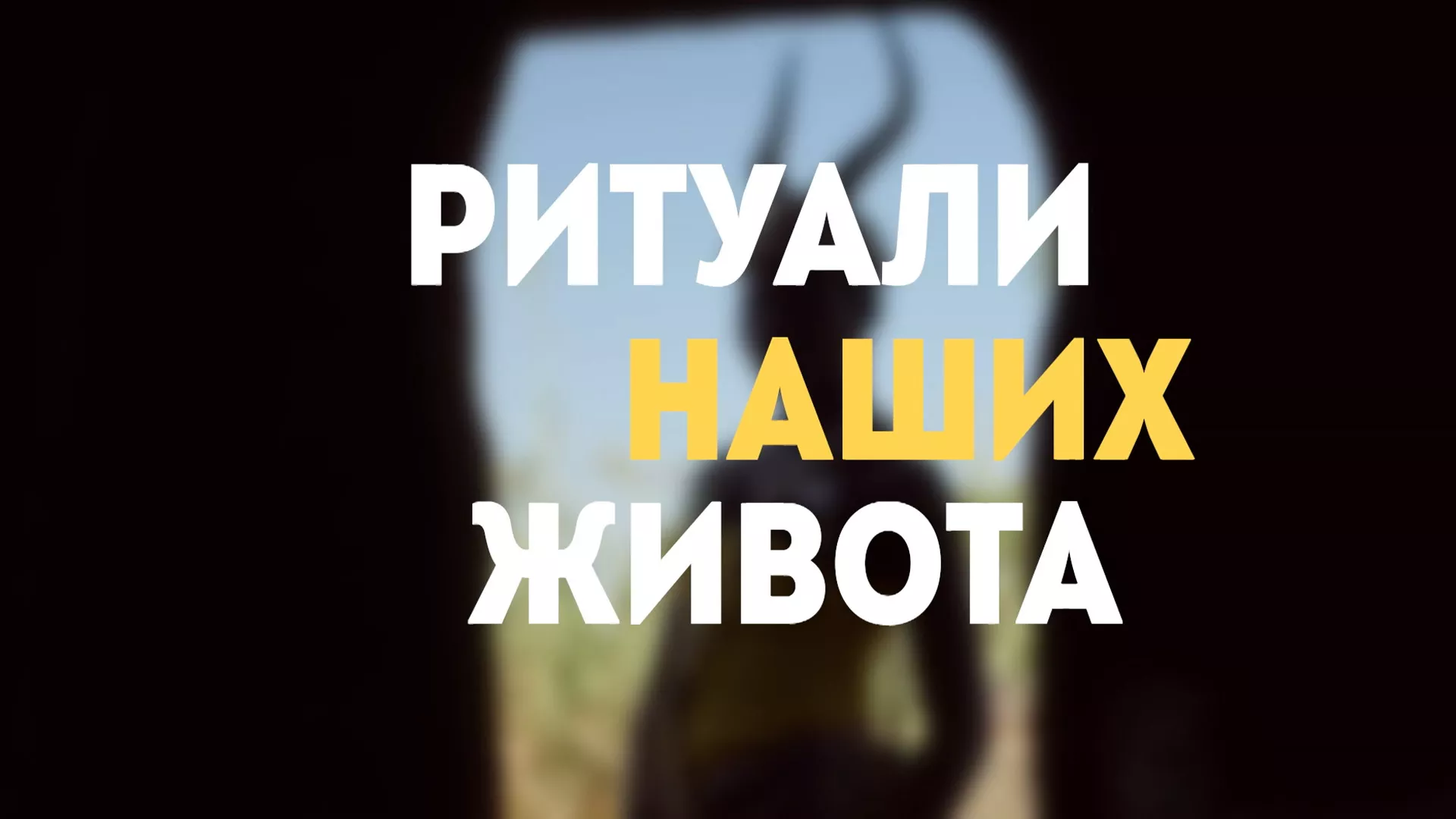 Ритуали наших живота