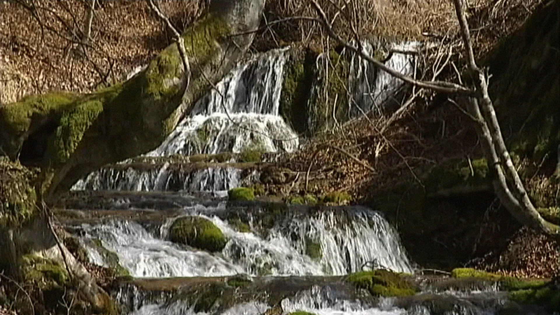 Квадратура круга: Вода је извор живота, 30. новембар 2024.