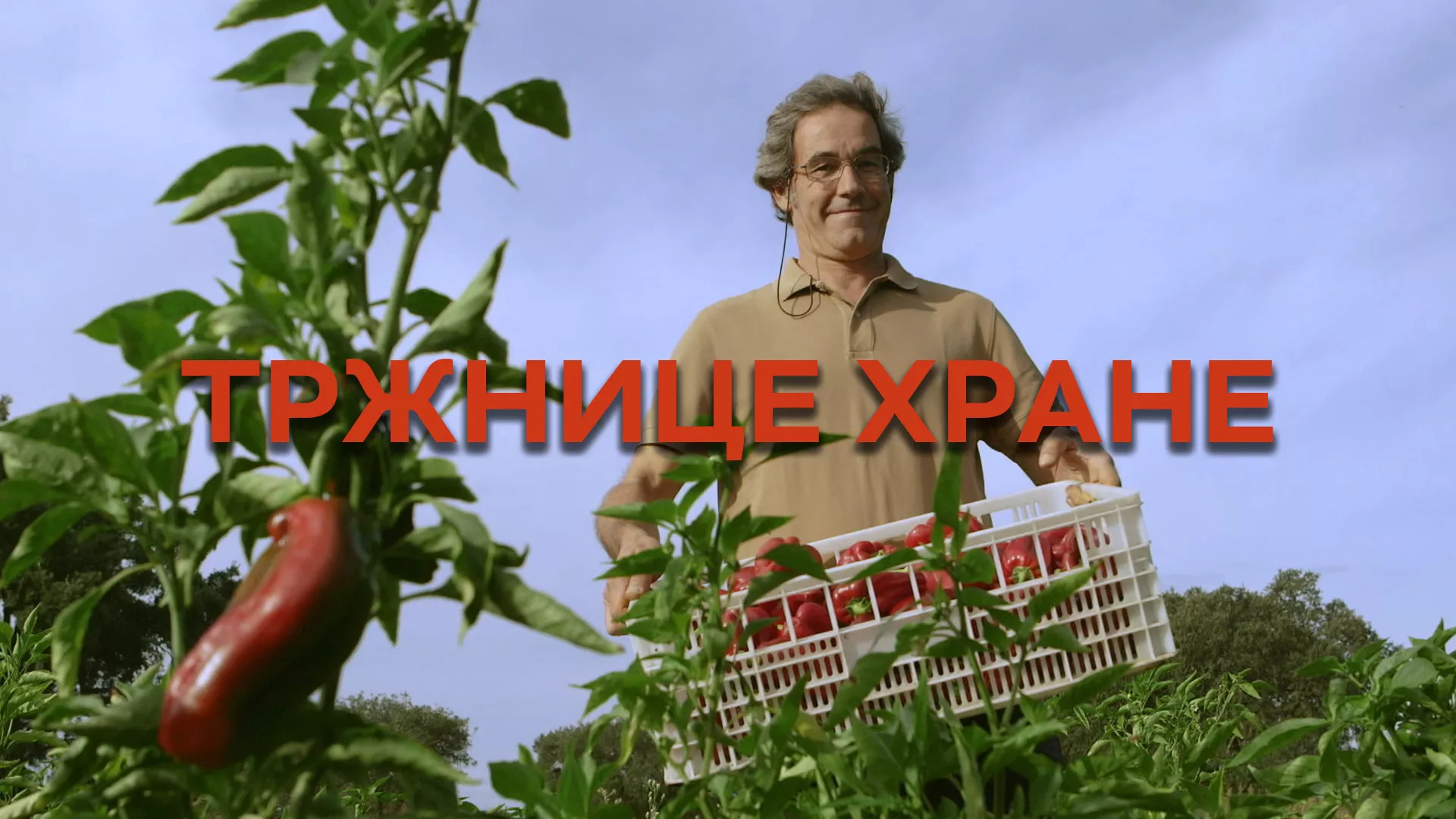 Тржнице хране