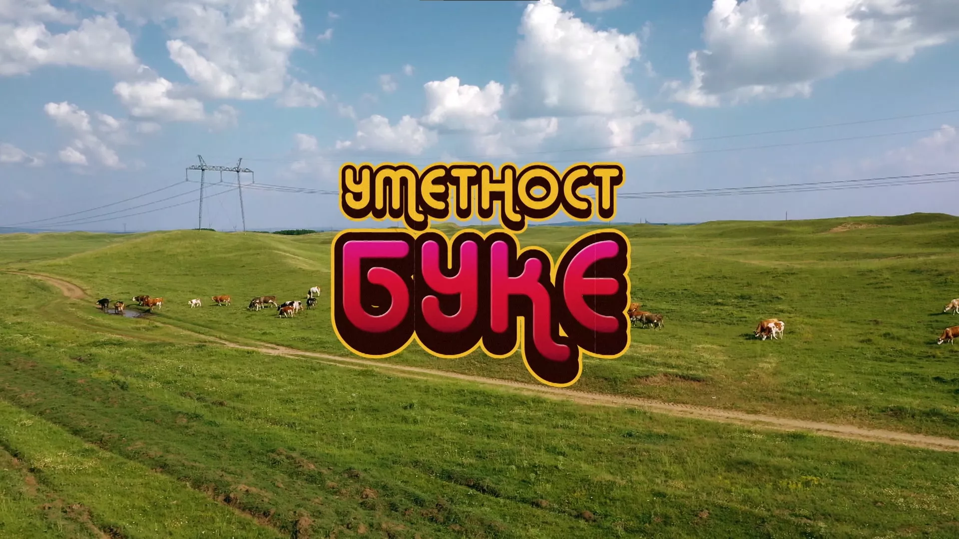Уметност буке