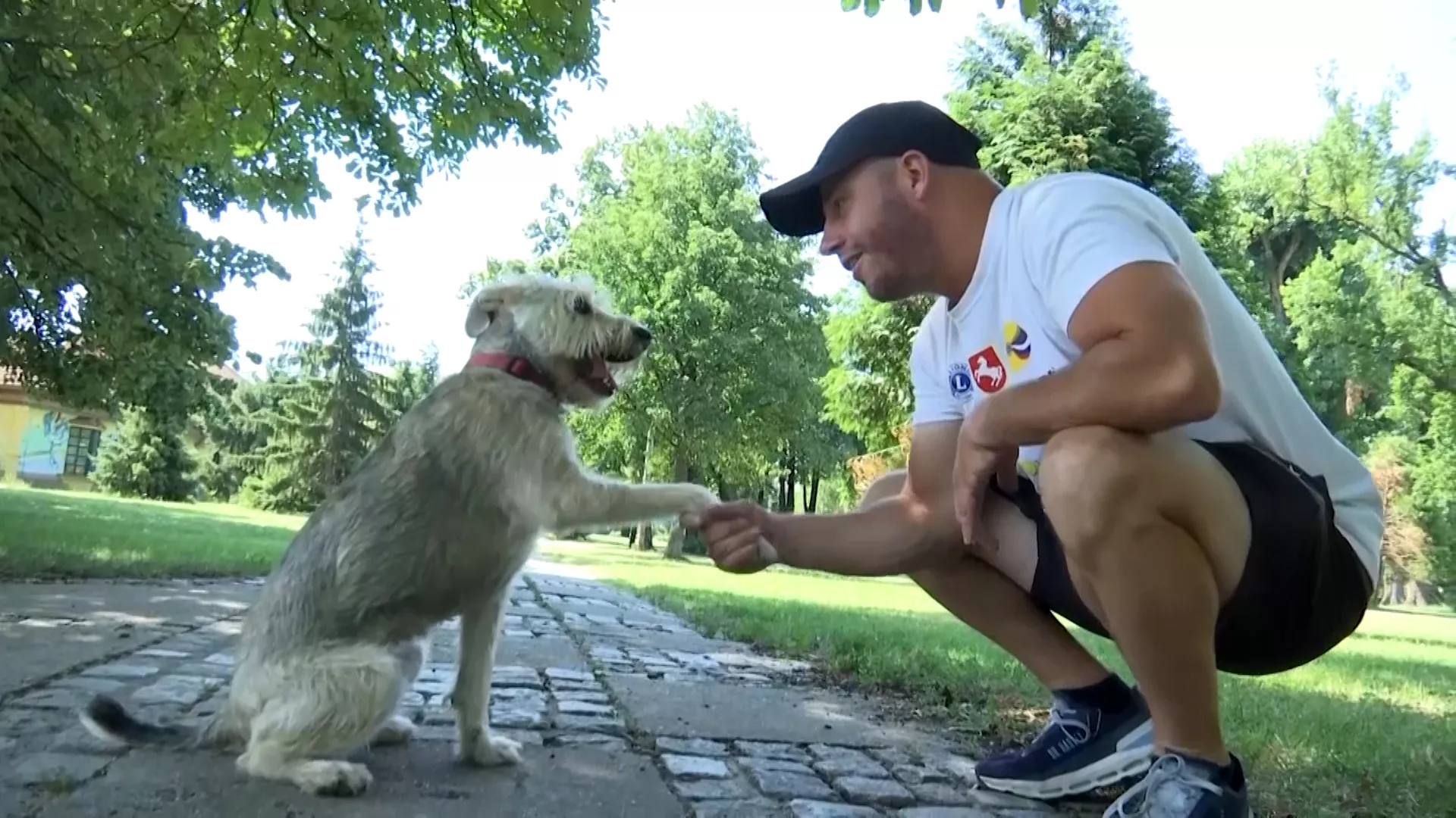 Оли вокер