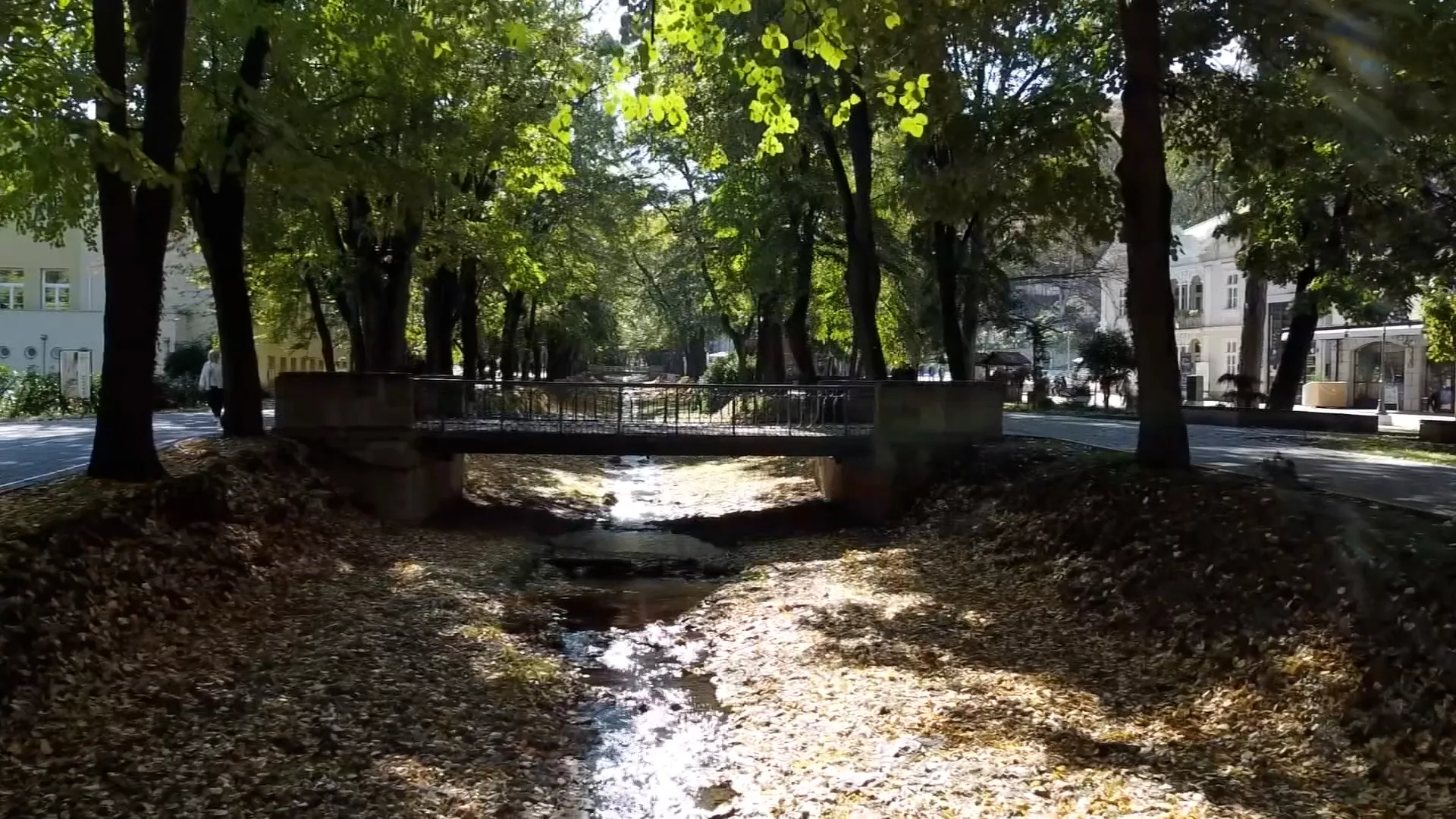 Паркови и мостови