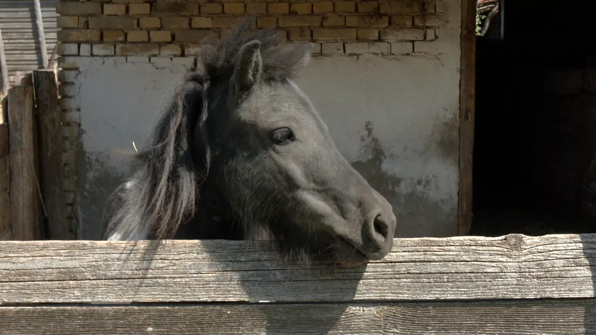 Грађанин, 3. октобар 2025.