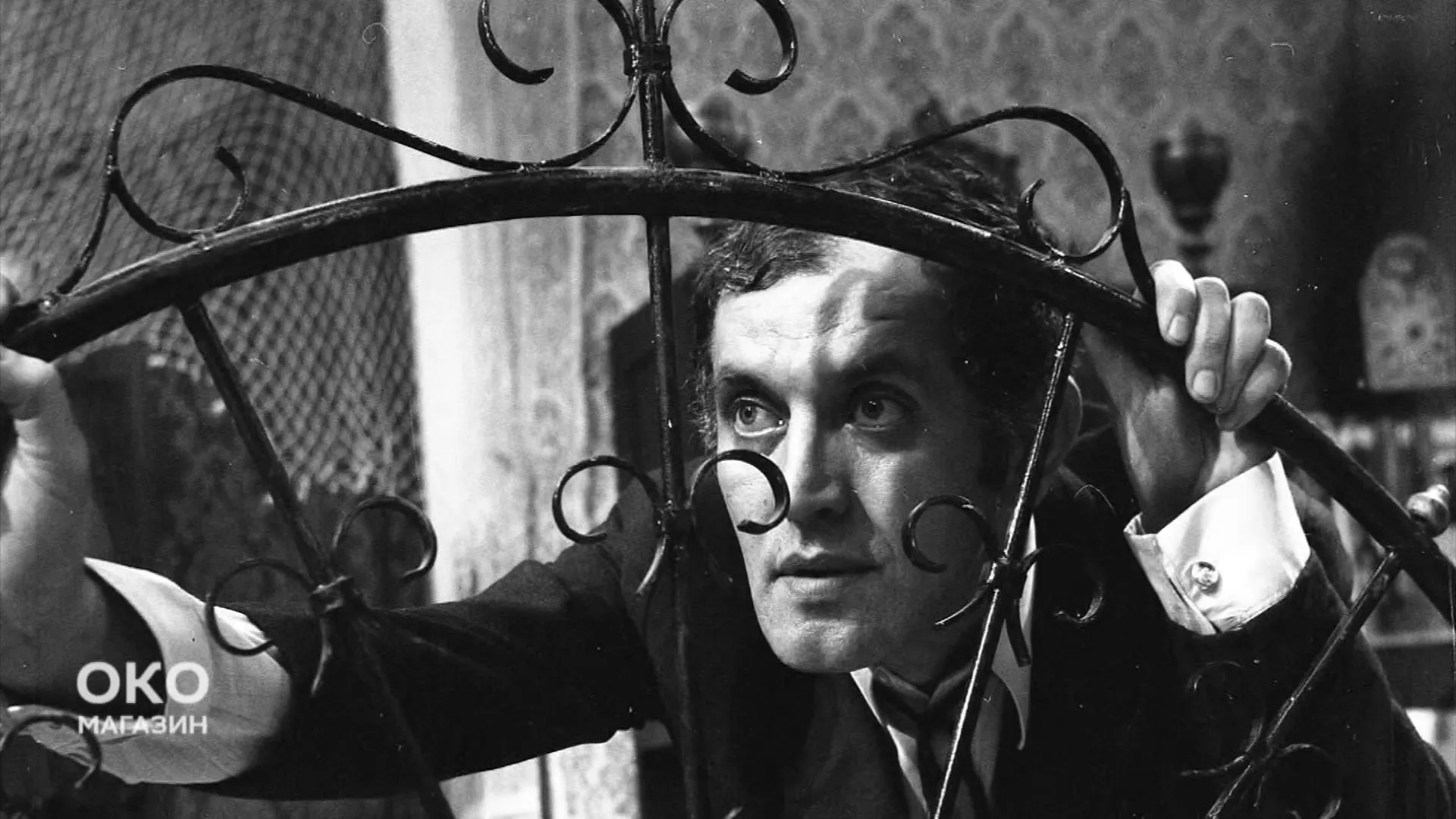 Око магазин: Љуба Тадић, Селенић и Жеравица