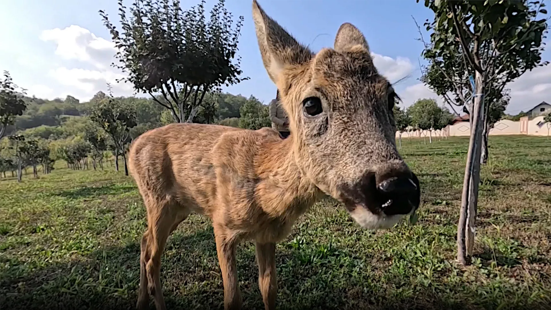 Знање имање: Повратници