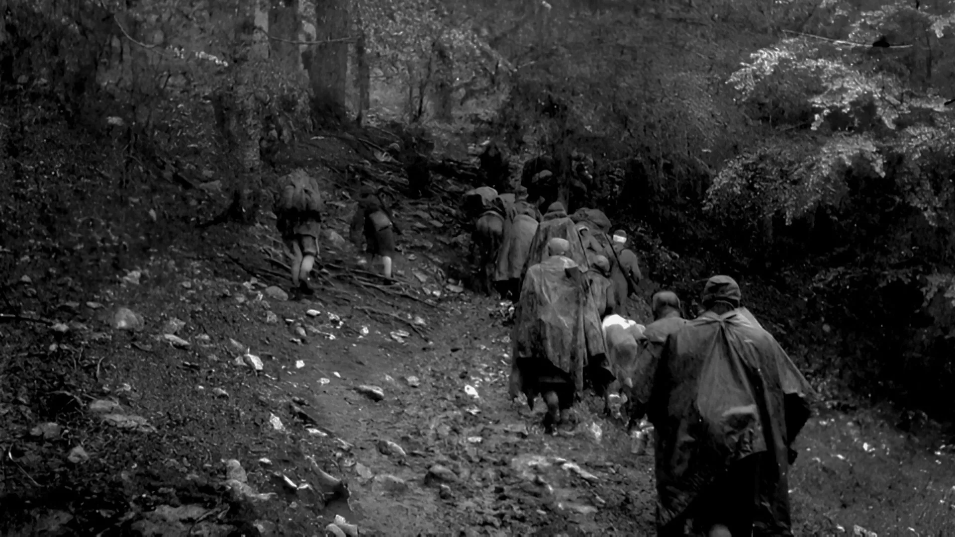 Слово о гласовима: Чика Анте, 5. емисија