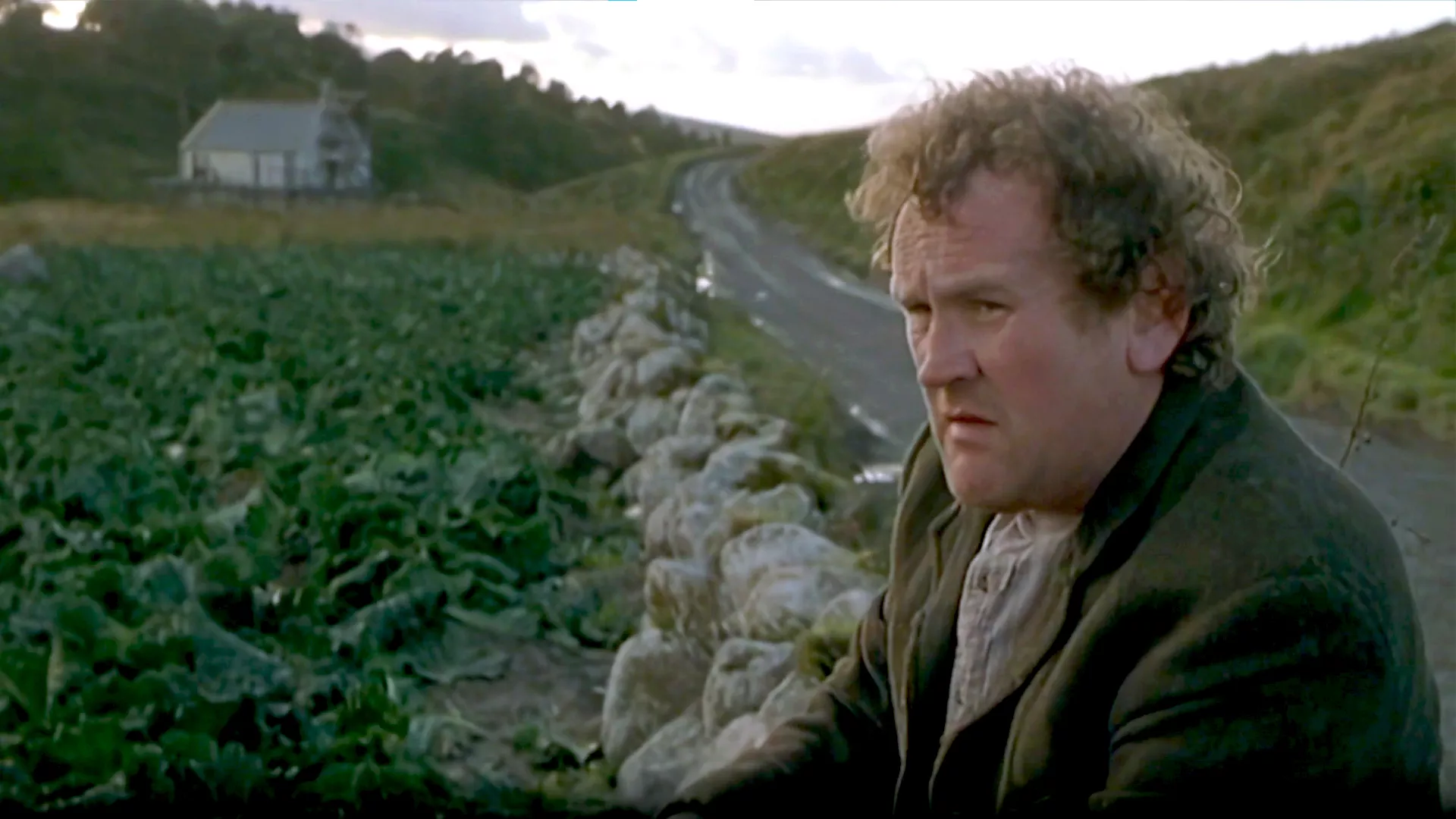 Како је Хари постао дрво (2001)