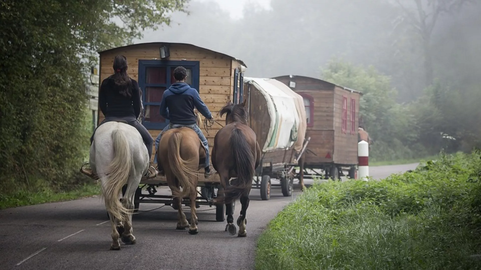 Од злата јабука ‒ Музика косовских Рома