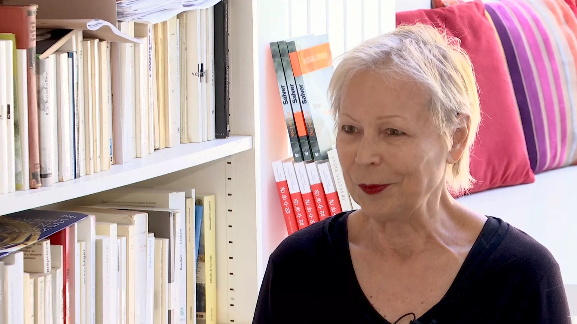 Савремени светски писци: Лиди Салвер