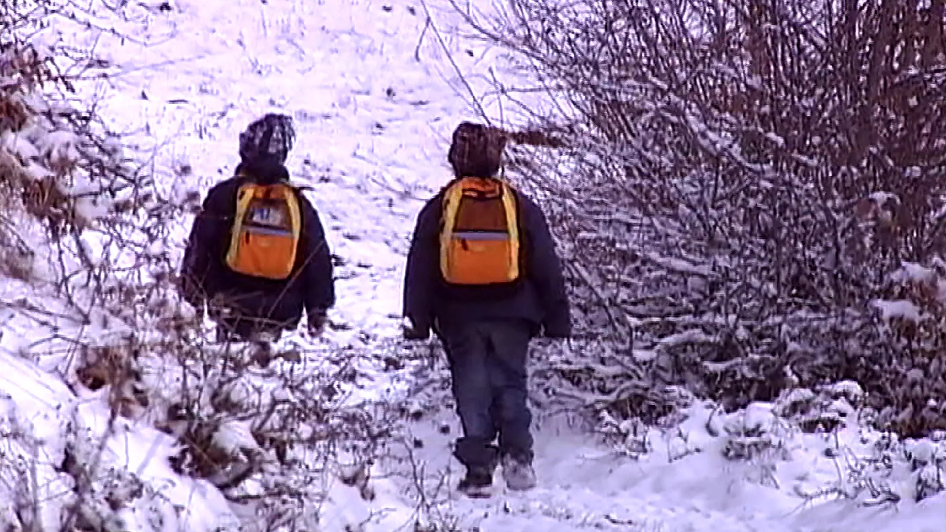 Квадратура круга: Мали велики људи – Дикићи